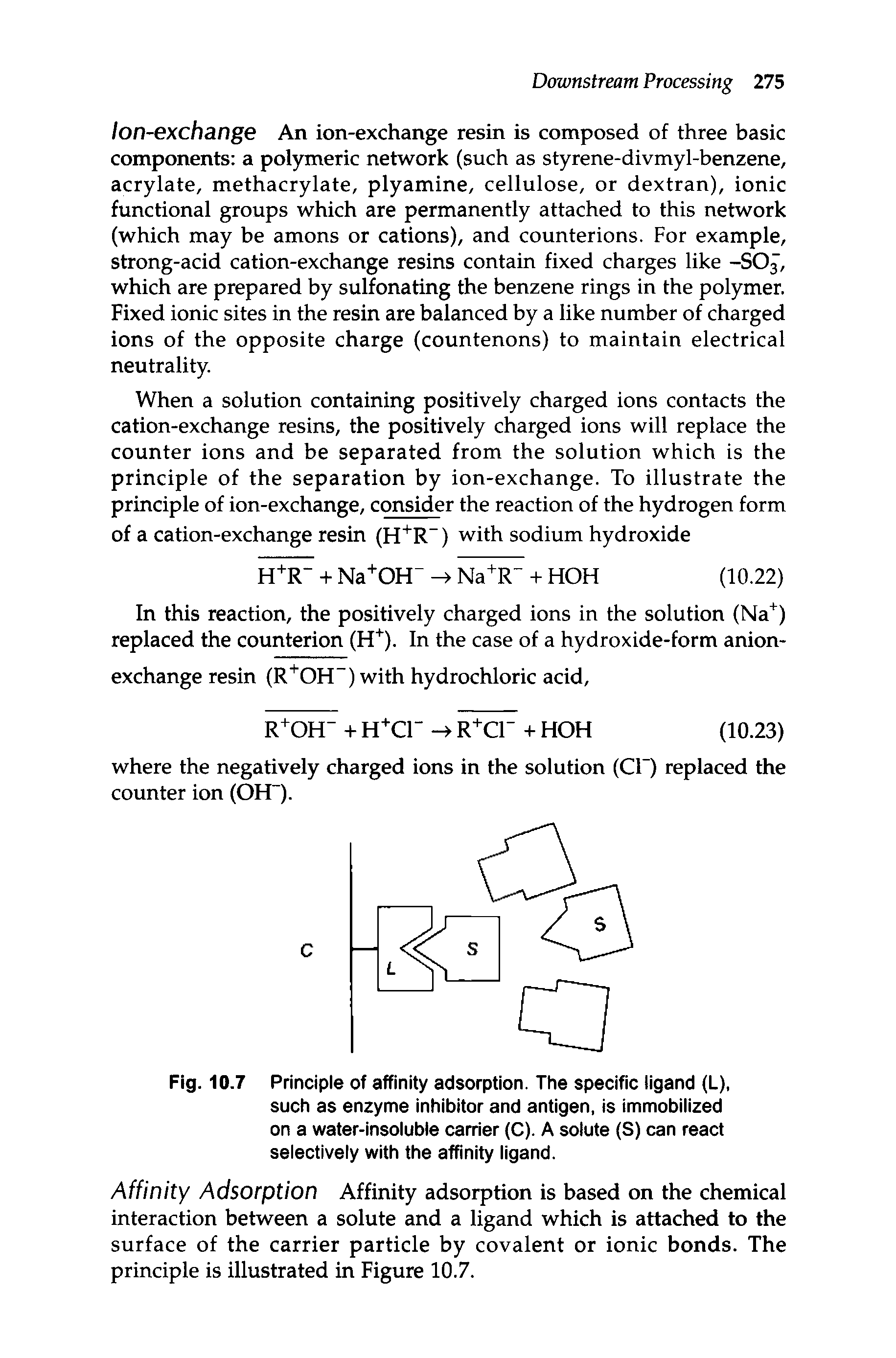 Fig. 10.7 Principle of affinity adsorption. The specific ligand (L), such as enzyme inhibitor and antigen, is immobilized on a water-insoluble carrier (C). A solute (S) can react selectively with the affinity ligand.