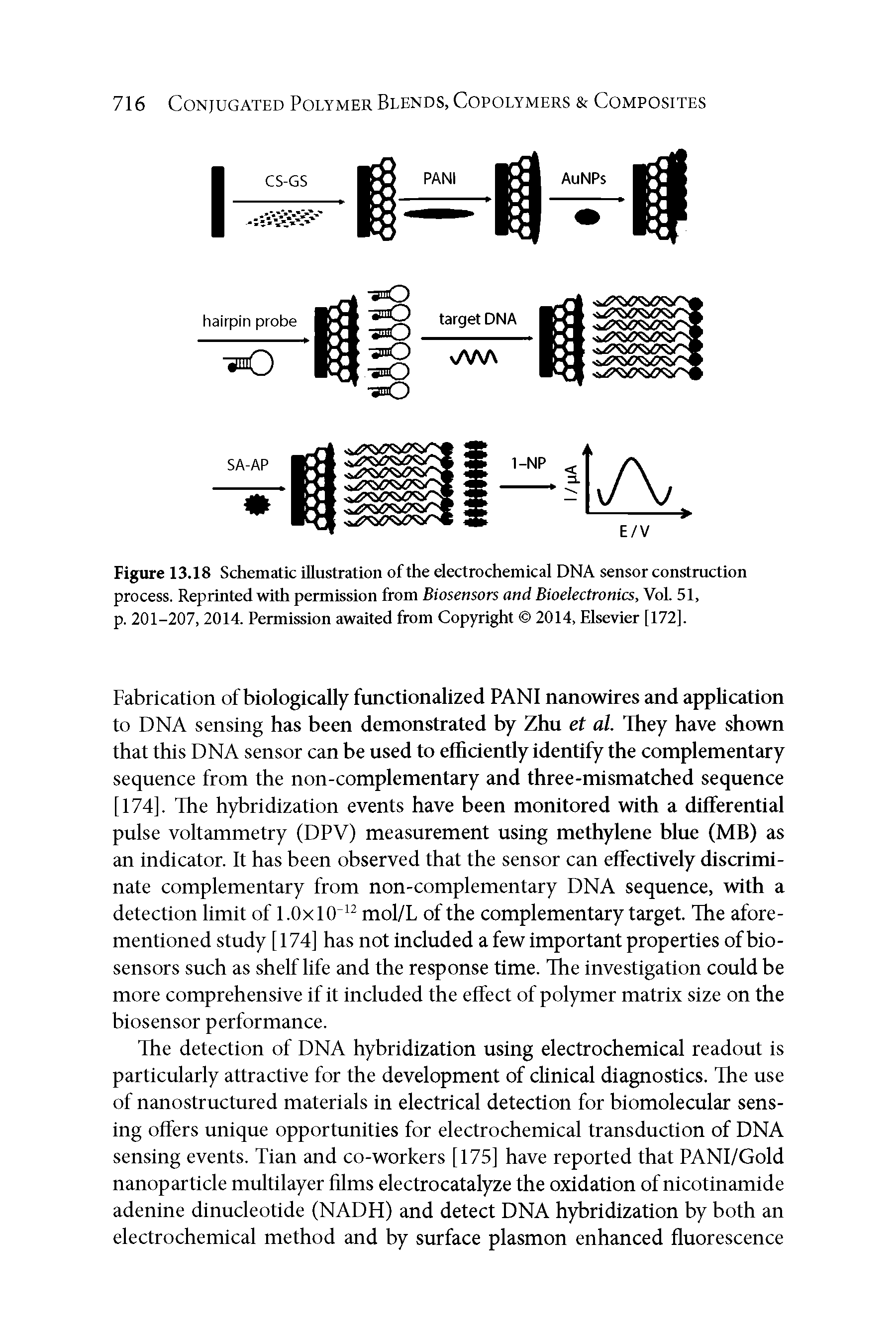 Figure 13.18 Schematic illustration of the electrochemical DNA sensor construction process. Reprinted with permission from Biosensors and Bioelectronics, VoL 51, p. 201-207, 2014. Permission awaited from Copyright 2014, Elsevier [172].