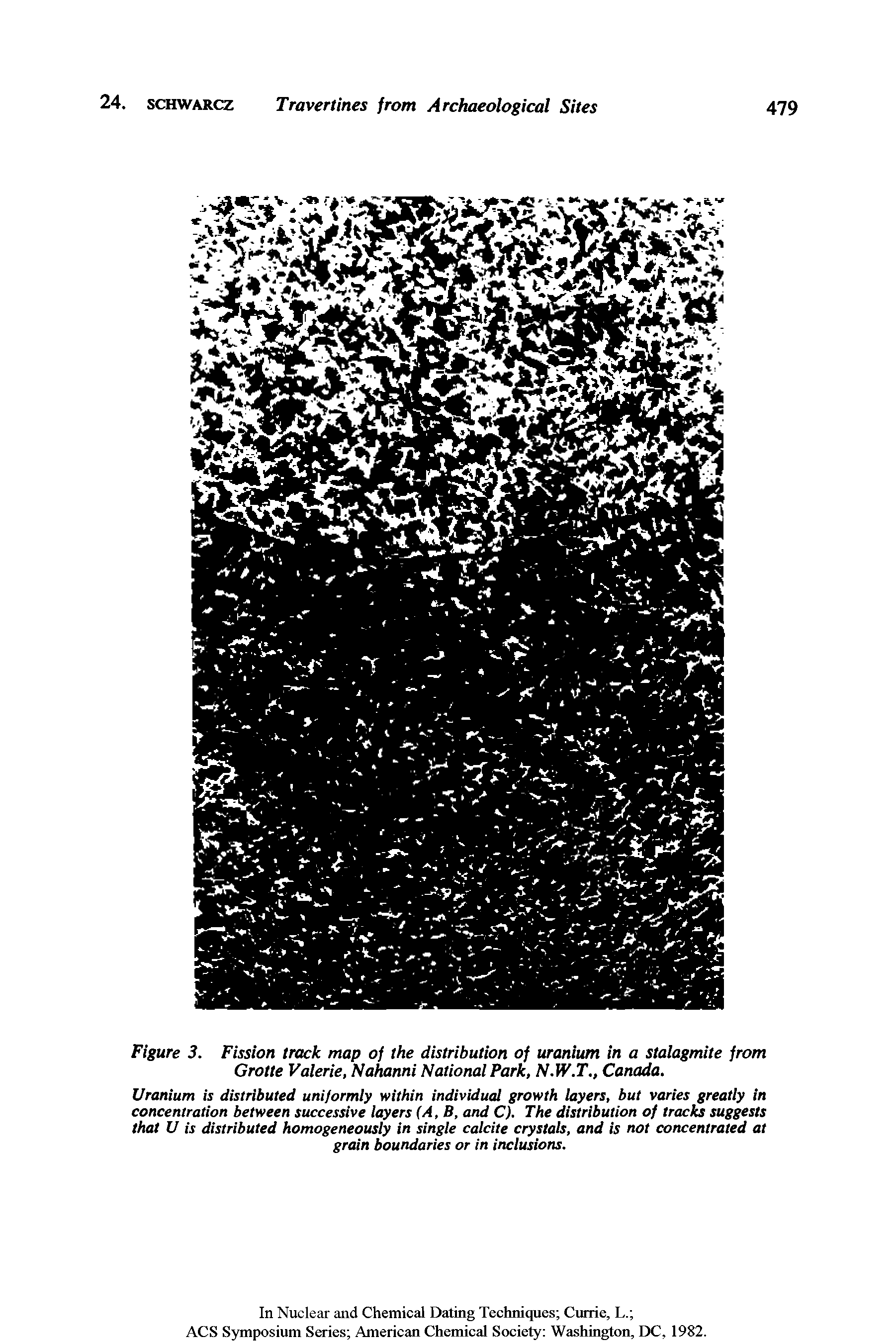 Figure 3. Fission track map of the distribution of uranium in a stalagmite from Grotte Valerie, Nahanni National Park, N.W.T., Canada.