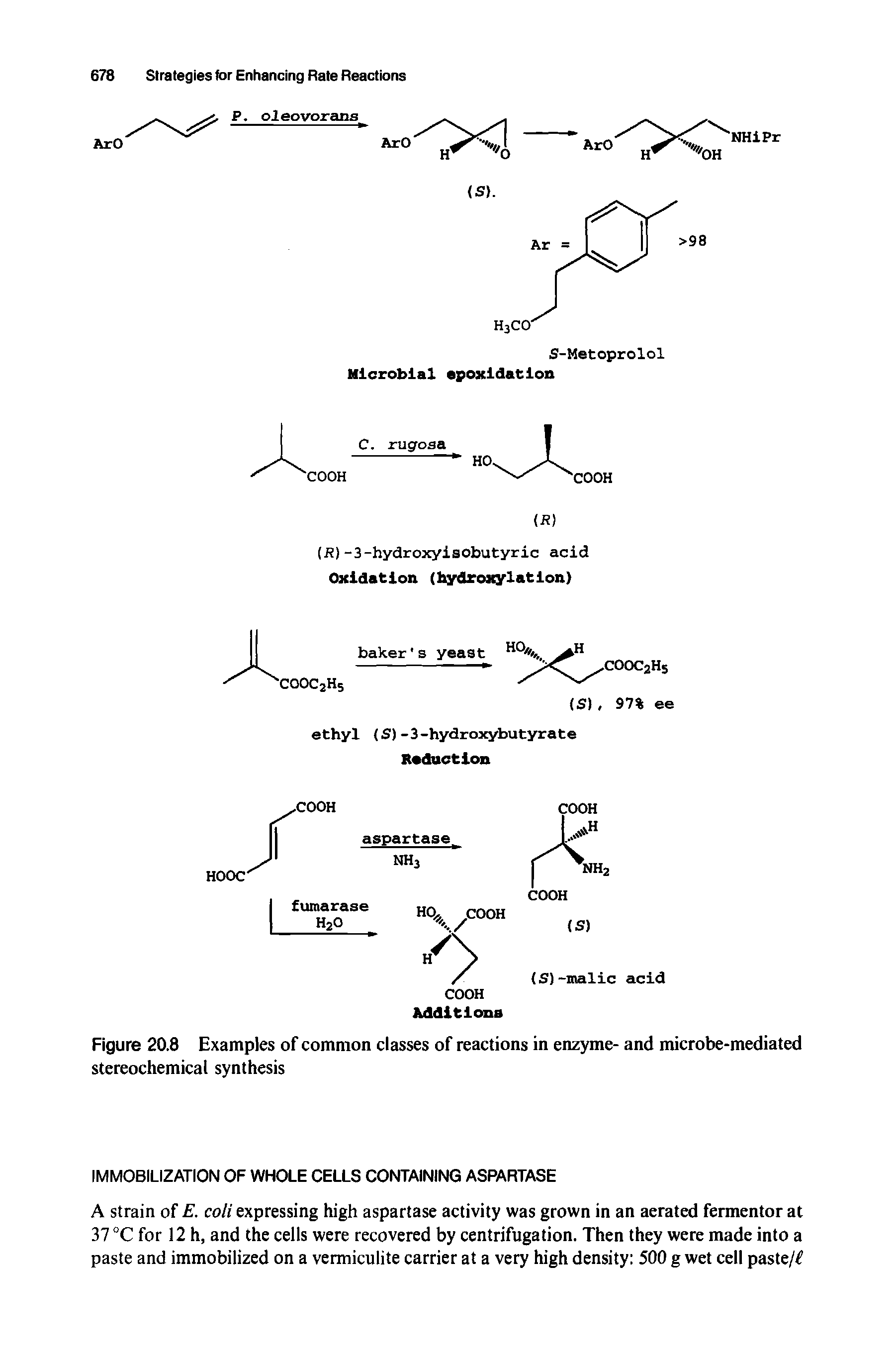 Figure 20.8 Examples of common classes of reactions in enzyme- and microbe-mediated stereochemical synthesis...