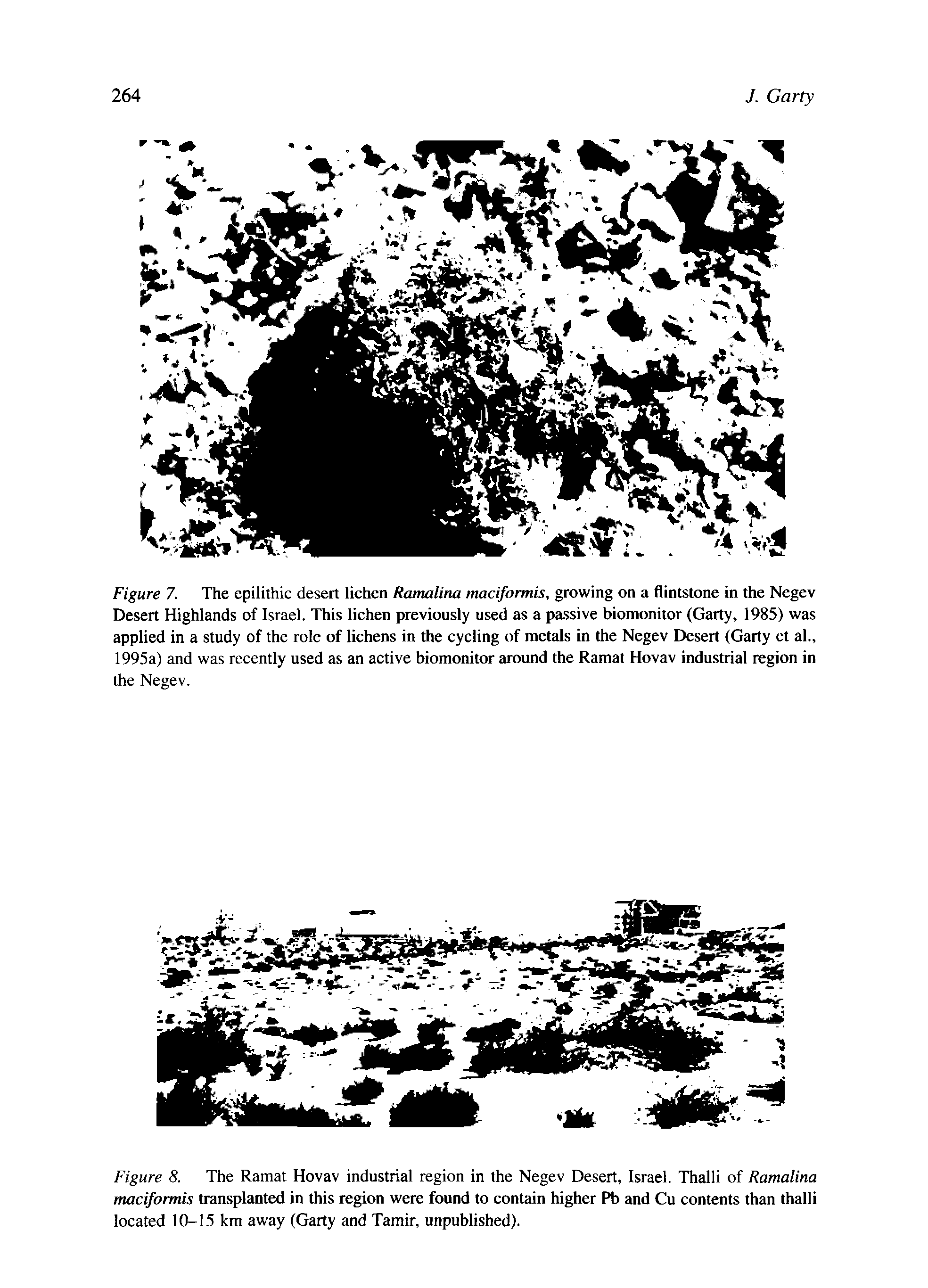 Figure 8. The Ramat Hovav industrial region in the Negev Desert, Israel. Thalli of Ramalina maciformis transplanted in this region were found to contain higher Pb and Cu contents than thalli located 10-15 km away (Garty and Tamir, unpublished).