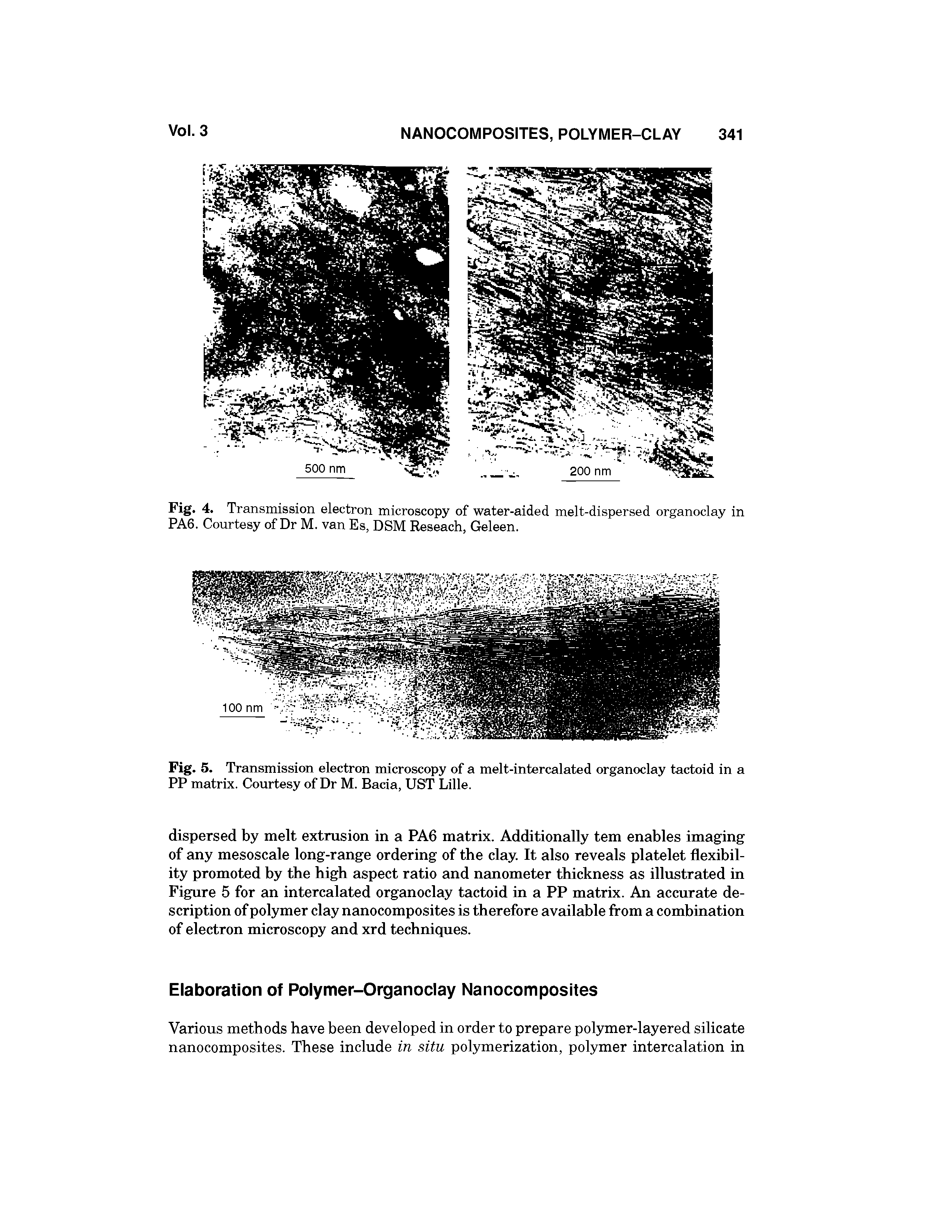 Fig. 5. Transmission electron microscopy of a melt-intercalated organoclay tactoid in a PP matrix. Courtesy of Dr M. Bacia, UST Lille.