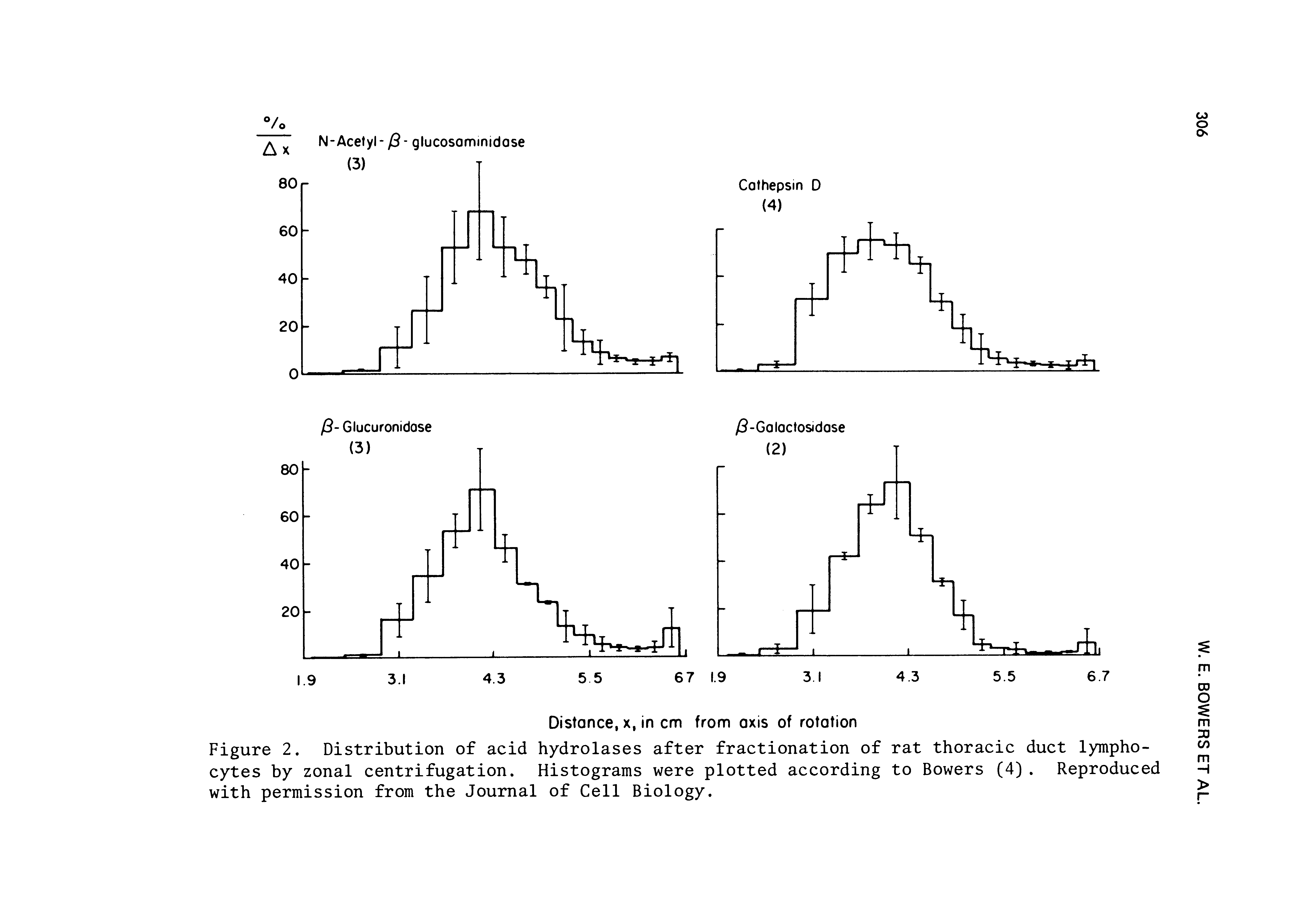 Figure 2. Distribution of acid hydrolases after fractionation of rat thoracic duct lymphocytes by zonal centrifugation. Histograms were plotted according to Bowers (4). Reproduced with permission from the Journal of Cell Biology.