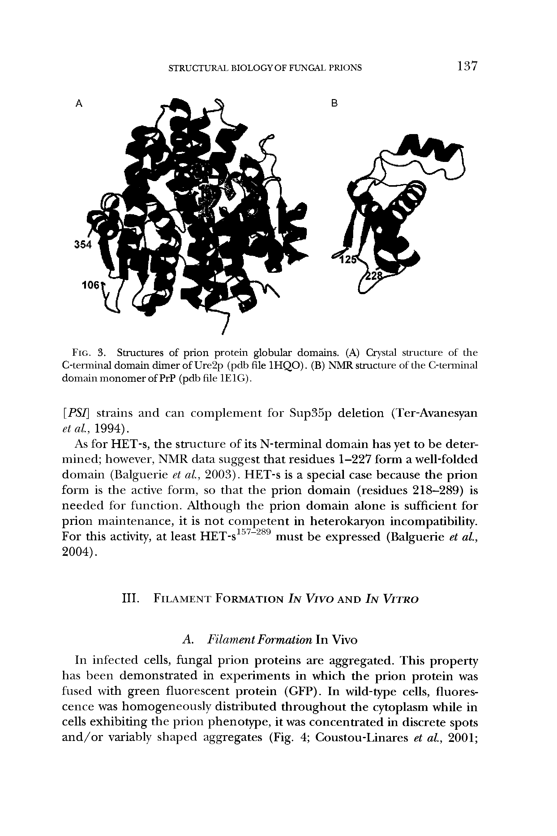 Fig. 3. Structures of prion protein globular domains. (A) Crystal structure of the C-terminal domain dimer of Ure2p (pdb file 1HQO). (B) NMR structure of the C-terminal domain monomer of PrP (pdb file 1E1G).