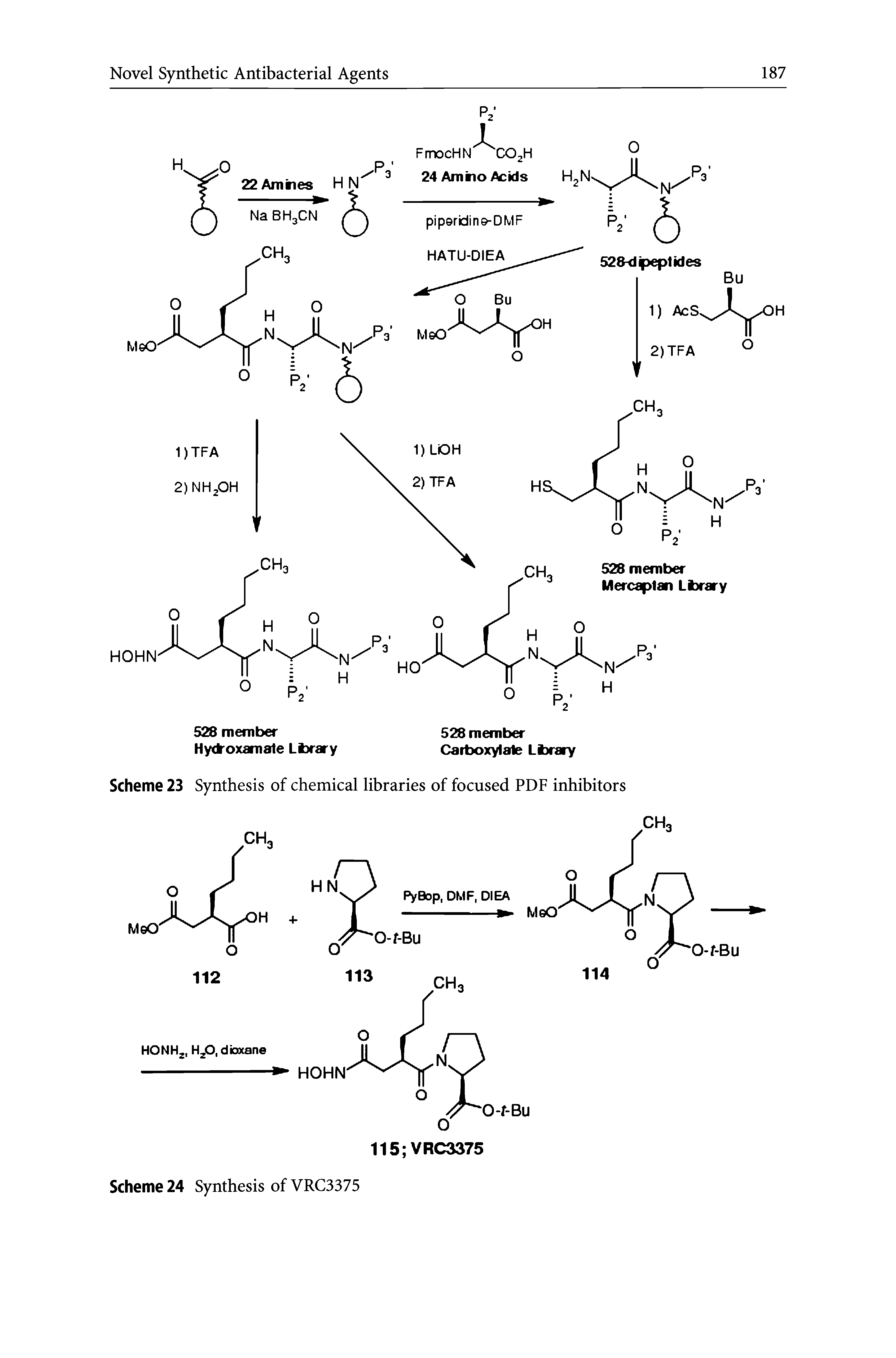 Scheme 23 Synthesis of chemical libraries of focused PDF inhibitors...