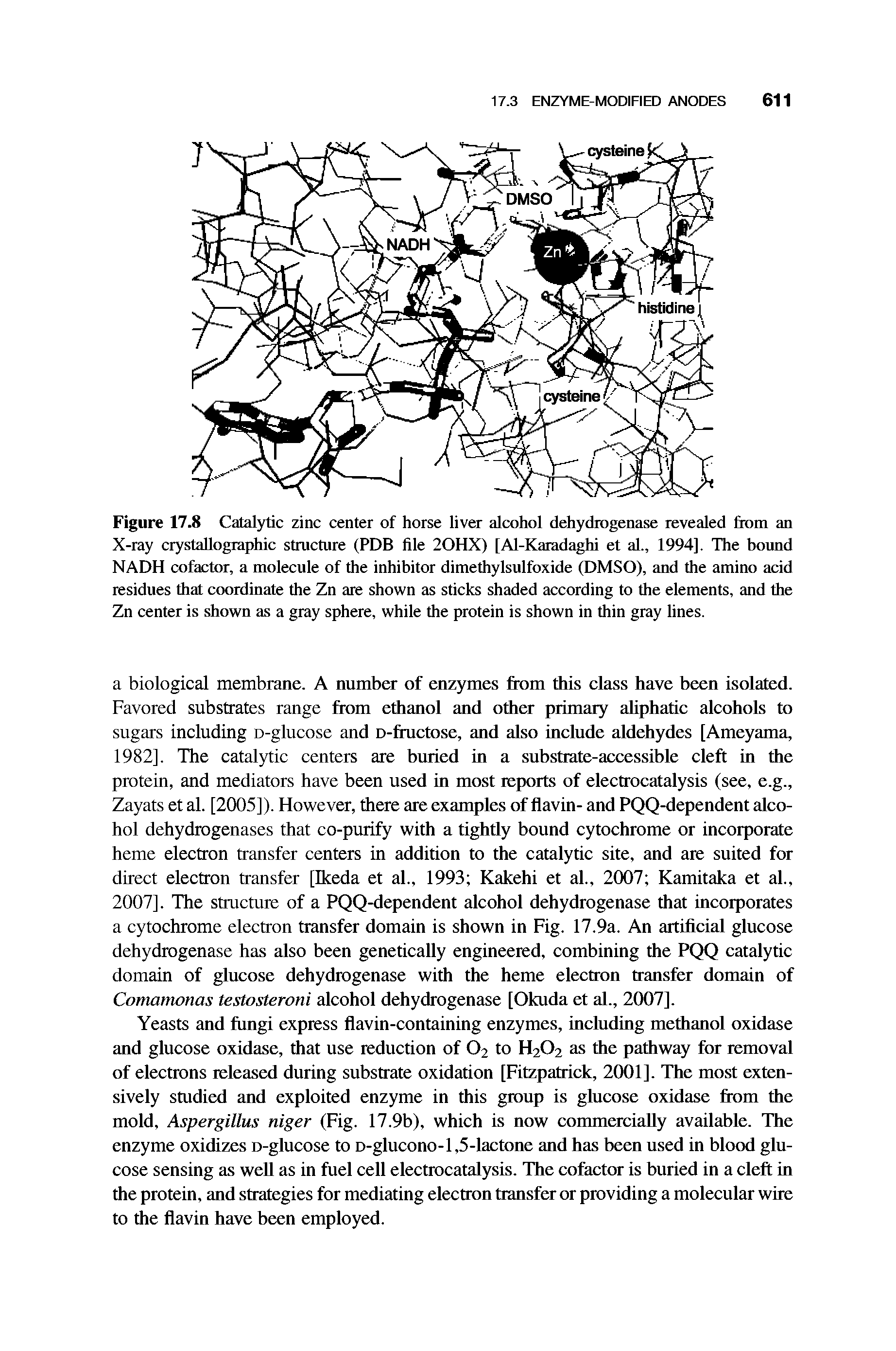 Figure 17.8 Catal3ftic zinc center of horse liver alcohol dehydrogenase revealed from an X-ray crystallographic structure (PDB file 20HX) [Al-Karadaghi et al., 1994]. The bound NADH cofactor, a molecule of the inhibitor dimethylsulfoxide (DMSO), and the amino acid residues that coordinate the Zn are shown as sticks shaded according to the elements, and the Zn center is shown as a gray sphere, while the protein is shown in thin gray lines.