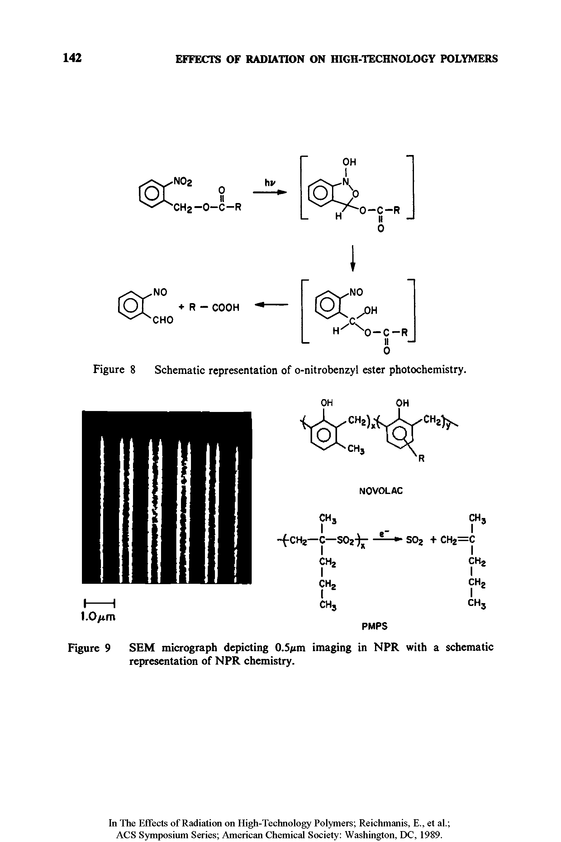 Figure 8 Schematic representation of o-nitrobenzyl ester photochemistry.