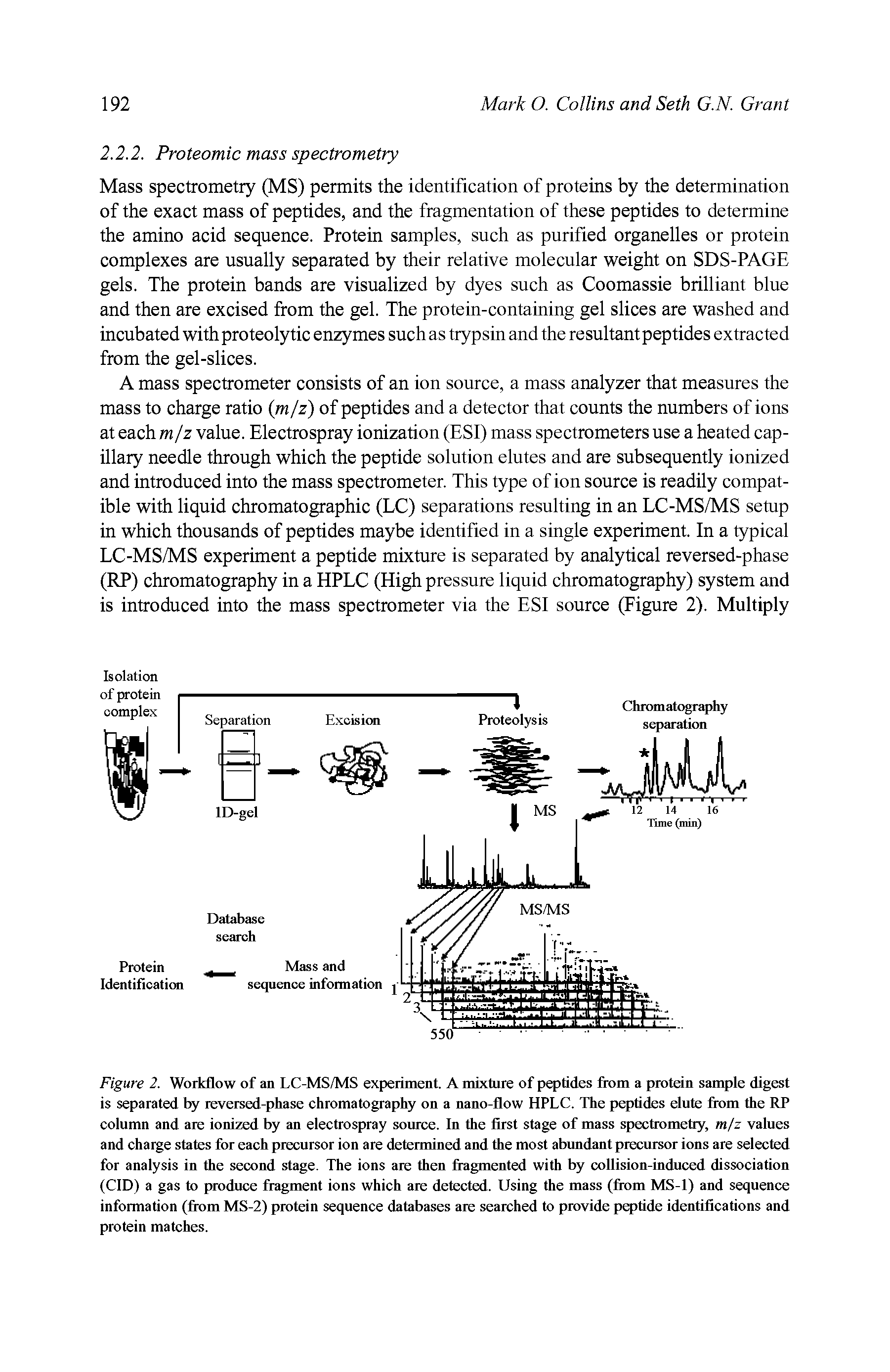 Figure 2. Workflow of an LC-MS/MS experiment. A mixture of peptides from a protein sample digest is separated by reversed-phase chromatography on a nano-flow HPLC. The peptides elute from the RP column and are ionized by an electrospray source. In the first stage of mass spectrometry, m/z values and charge states for each precursor ion are determined and the most abundant precursor ions are selected for analysis in the second stage. The ions are then fragmented with by collision-induced dissociation (CID) a gas to produce fragment ions which are detected. Using the mass (from MS-1) and sequence information (from MS-2) protein sequence databases are searched to provide peptide identifications and protein matches.