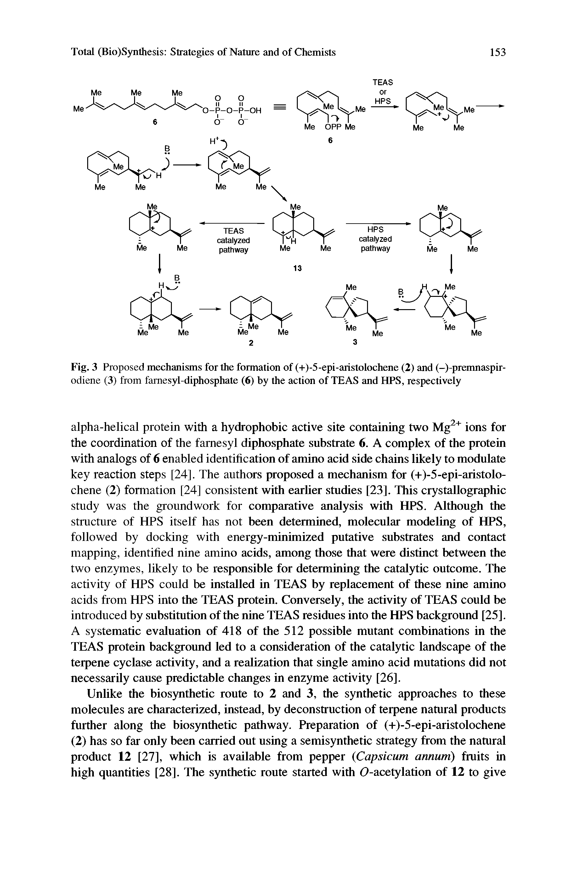 Fig. 3 Proposed mechanisms for the formation of (+)-5-epi-aristolochene (2) and (-)-premnaspir-odiene (3) from famesyl-diphosphate (6) by the action of TEAS and HPS, respectively...