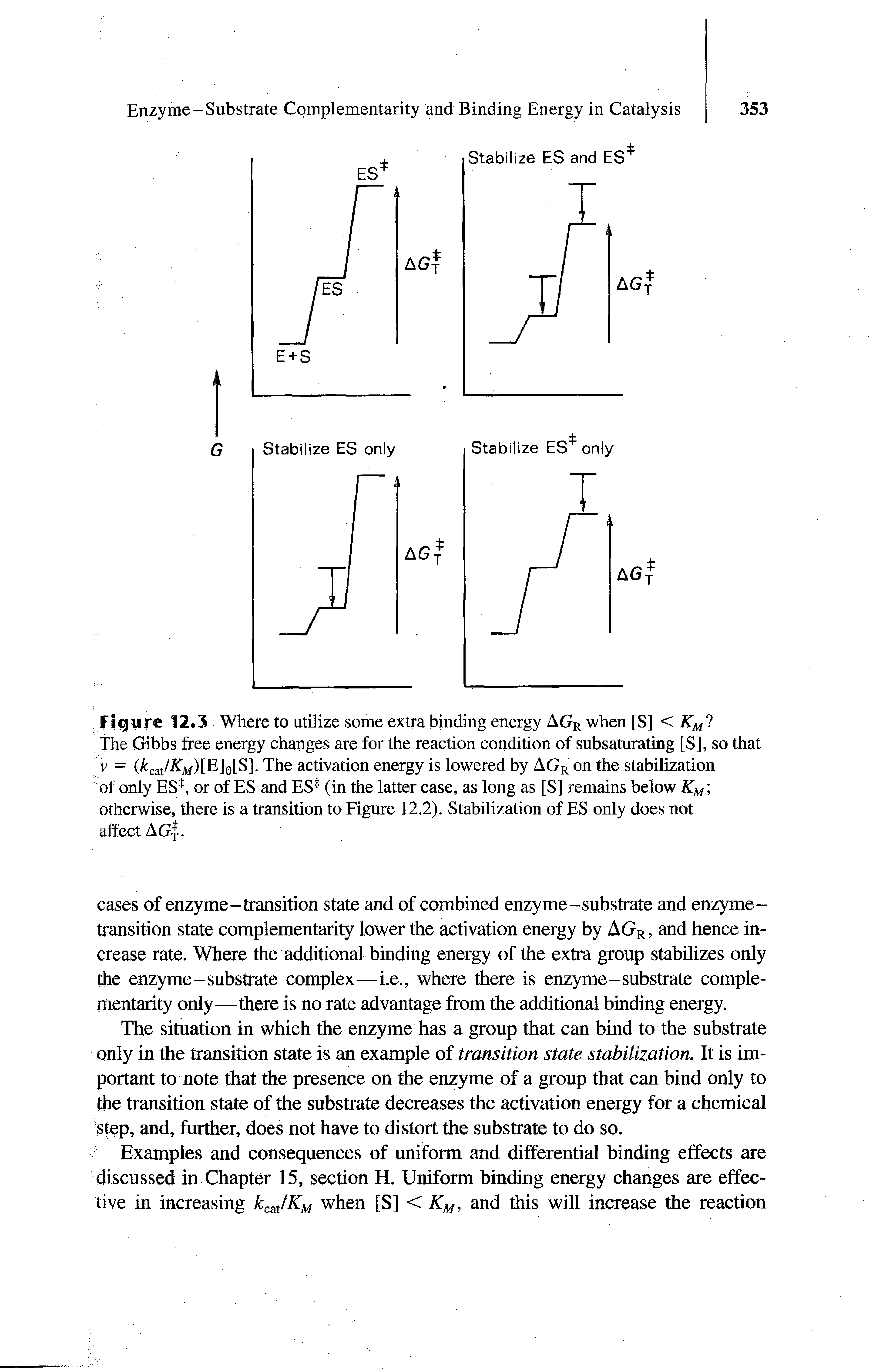 Figure 12.3 Where to utilize some extra binding energy AGR when [S] < KM1 The Gibbs free energy changes are for the reaction condition of subsaturating [S], so that v = (fccat/ATM)[E]0[S3. The activation energy is lowered by AGR on the stabilization of only ES1, or of ES and ES (in the latter case, as long as [S] remains below KM otherwise, there is a transition to Figure 12.2). Stabilization of ES only does not affect A Gy.