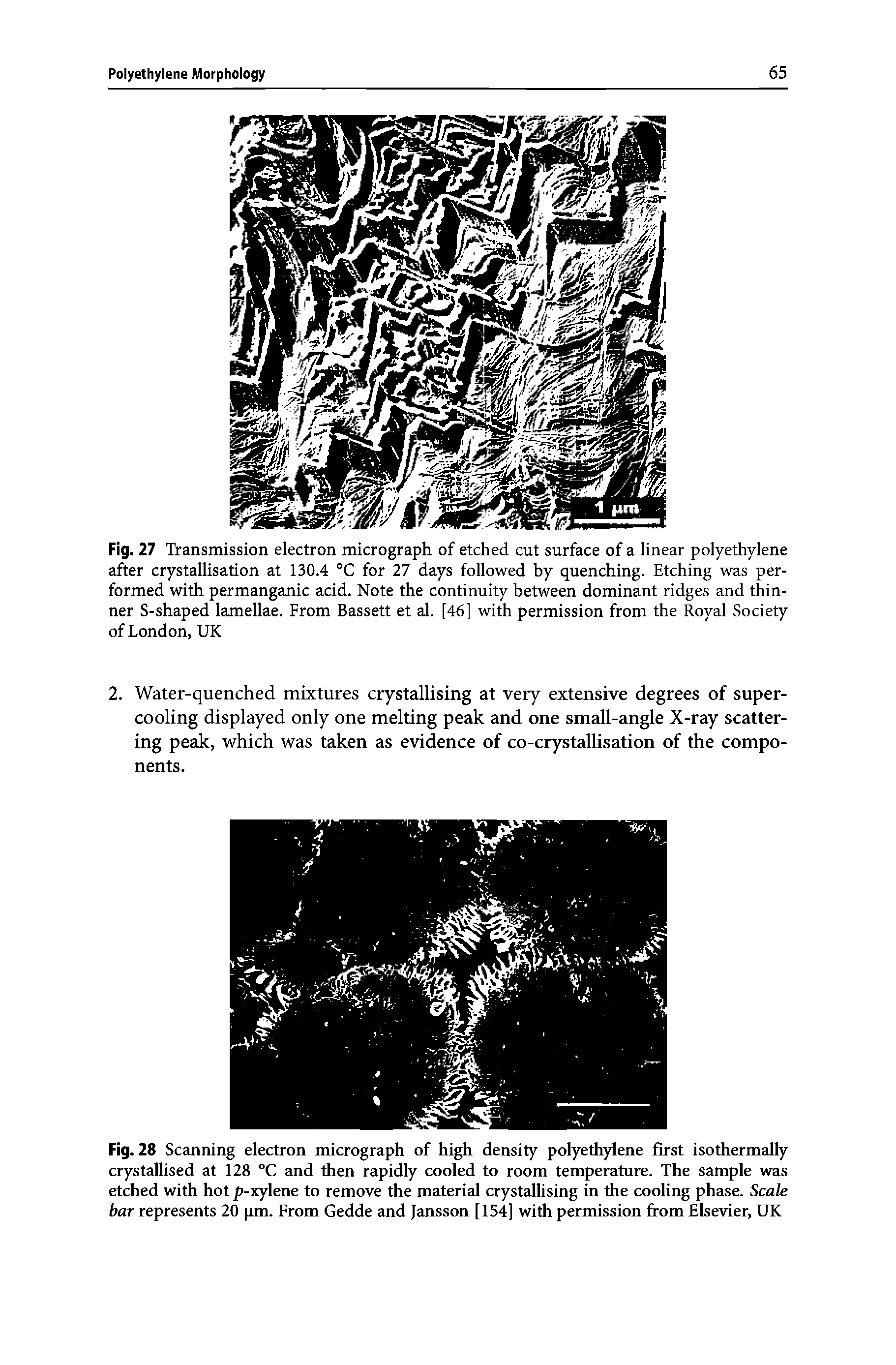 Fig. 28 Scanning electron micrograph of high density polyethylene first isothermally crystallised at 128 °C and then rapidly cooled to room temperature. The sample was etched with hot p-xylene to remove the material crystallising in the cooling phase. Scale bar represents 20 pm. From Gedde and Jansson [154] with permission from Elsevier, UK...