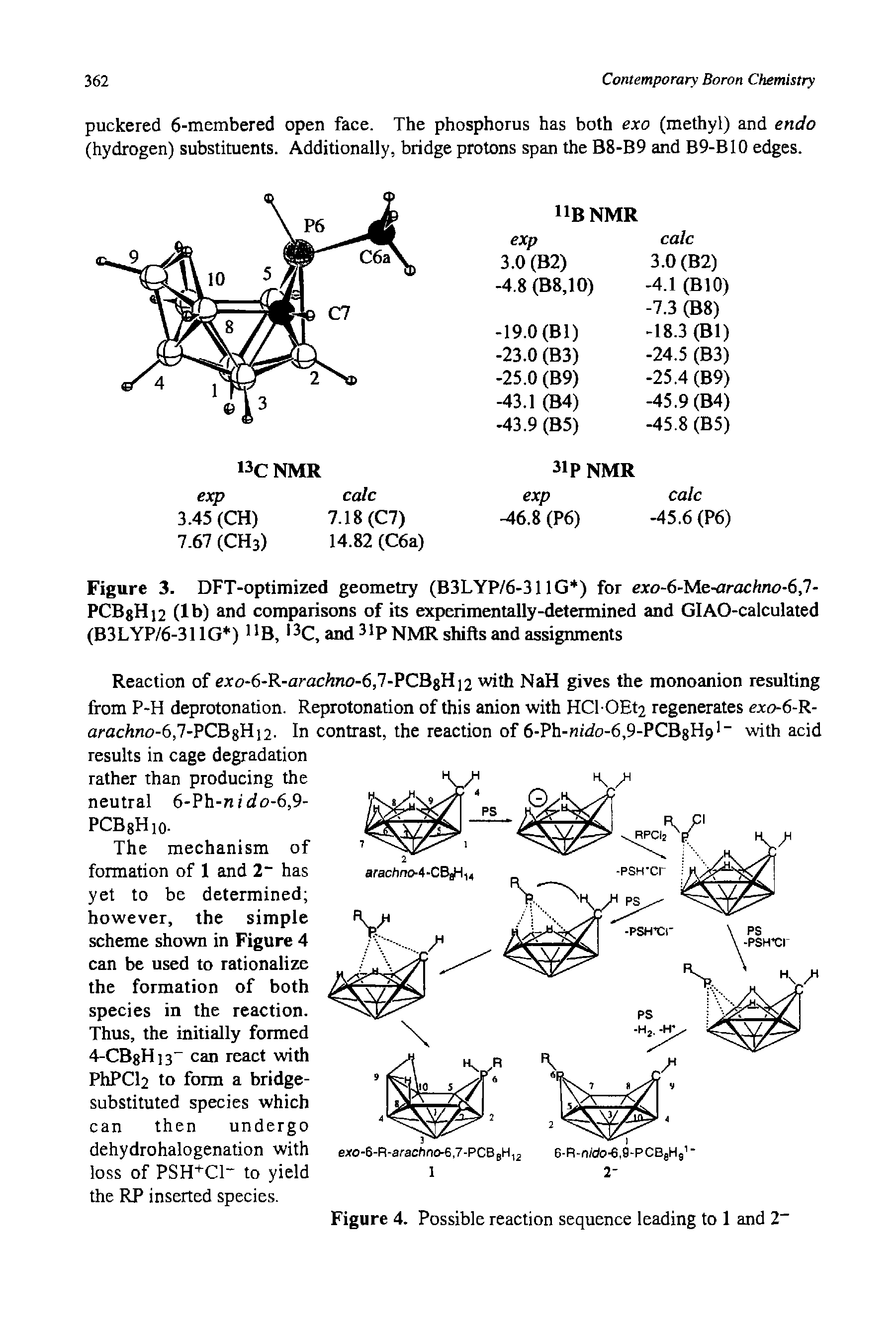 Figure 3. DFT-optimized geometry (B3LYP/6-311G ) for exo-6-Me-arachno-6,l-PCBgHi2 (lb) and comparisons of its experimentally-determined and GlAO-calculated (B3LYP/6-311G ) 1 B, 13C, and 31P NMR shifts and assignments...
