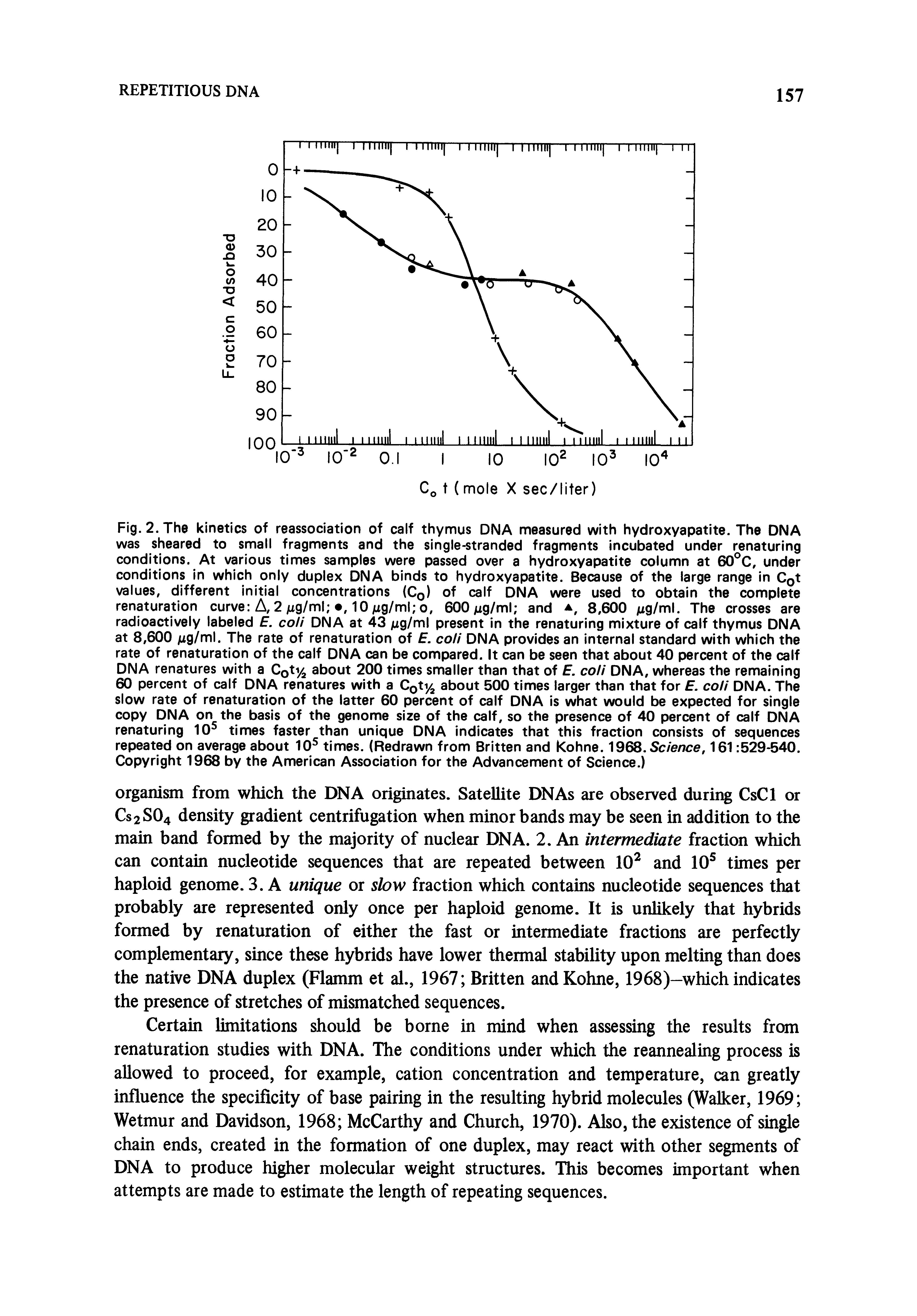 Fig. 2. The kinetics of reassociation of calf thymus DNA measured with hydroxyapatite. The DNA was sheared to small fragments and the single-stranded fragments incubated under renaturing conditions. At various times samples were passed over a hydroxyapatite column at 60 C, under conditions in which only duplex DNA binds to hydroxyapatite. Because of the large range in Cot values, different initial concentrations (Cq) of calf DNA were used to obtain the complete renaturation curve A, 2 jug/nni , 10/xg/ml o, 600Mg/ml and 8,600 /ug/ml. The crosses are radioactively labeled E. coli DNA at 43 jug/ml present in the renaturing mixture of calf thymus DNA at 8,600 The rate of renaturation of E. coli DNA provides an internal standard with which the...