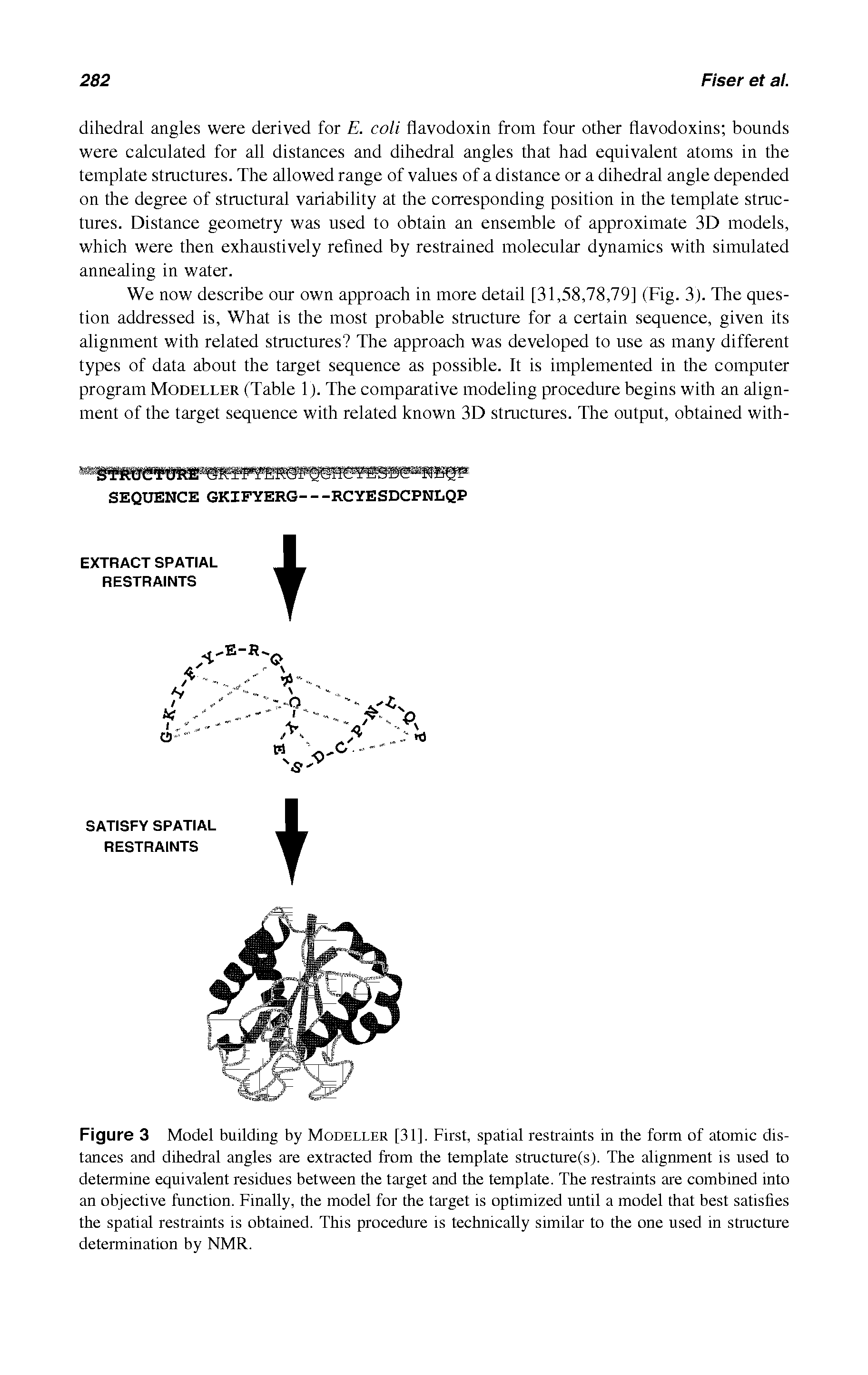 Figure 3 Model building by Modeller [31], First, spatial restraints in the form of atomic distances and dihedral angles are extracted from the template stmcture(s). The alignment is used to determine equivalent residues between the target and the template. The restraints are combined into an objective function. Finally, the model for the target is optimized until a model that best satisfies the spatial restraints is obtained. This procedure is technically similar to the one used in structure determination by NMR.