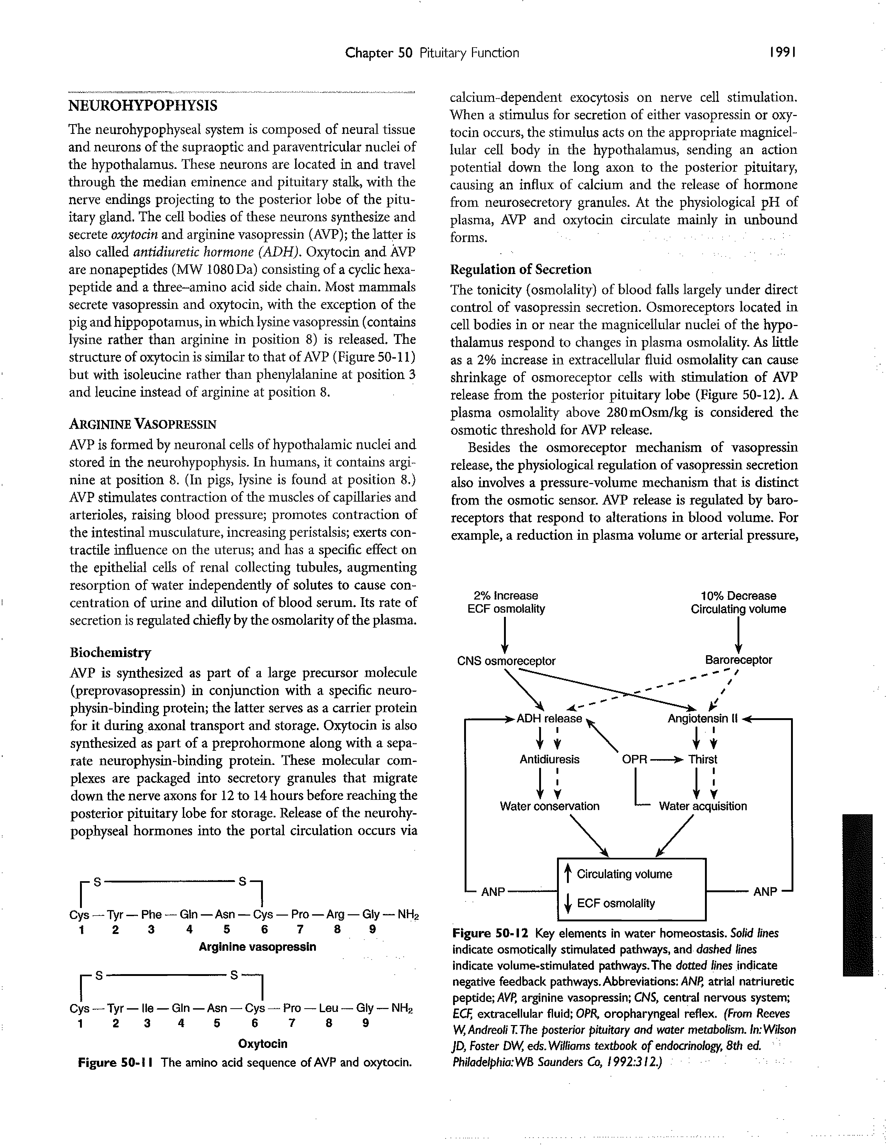 Figure 50-12 Key elements in water homeostasis. So/id //nes indicate osmotically stimulated pathways, and dashed lines Indicate volume-stimulated pathways.The dotted lines indicate negative feedback pathways. Abbreviations ANfl atrial natriuretic peptide AVP, arginine vasopressin CNS, central nervous system C/- extracellular fluid OPR, oropharyngeal reflex. (From Reeves W,AndreoliT.The posterior pituitary and water metabolism. /n Wj7son JD, Foster DW, eds. Williams textbook of endocrinology, 8tb ed. Philadelpbia WB Sounders Co, 1992 312.)...