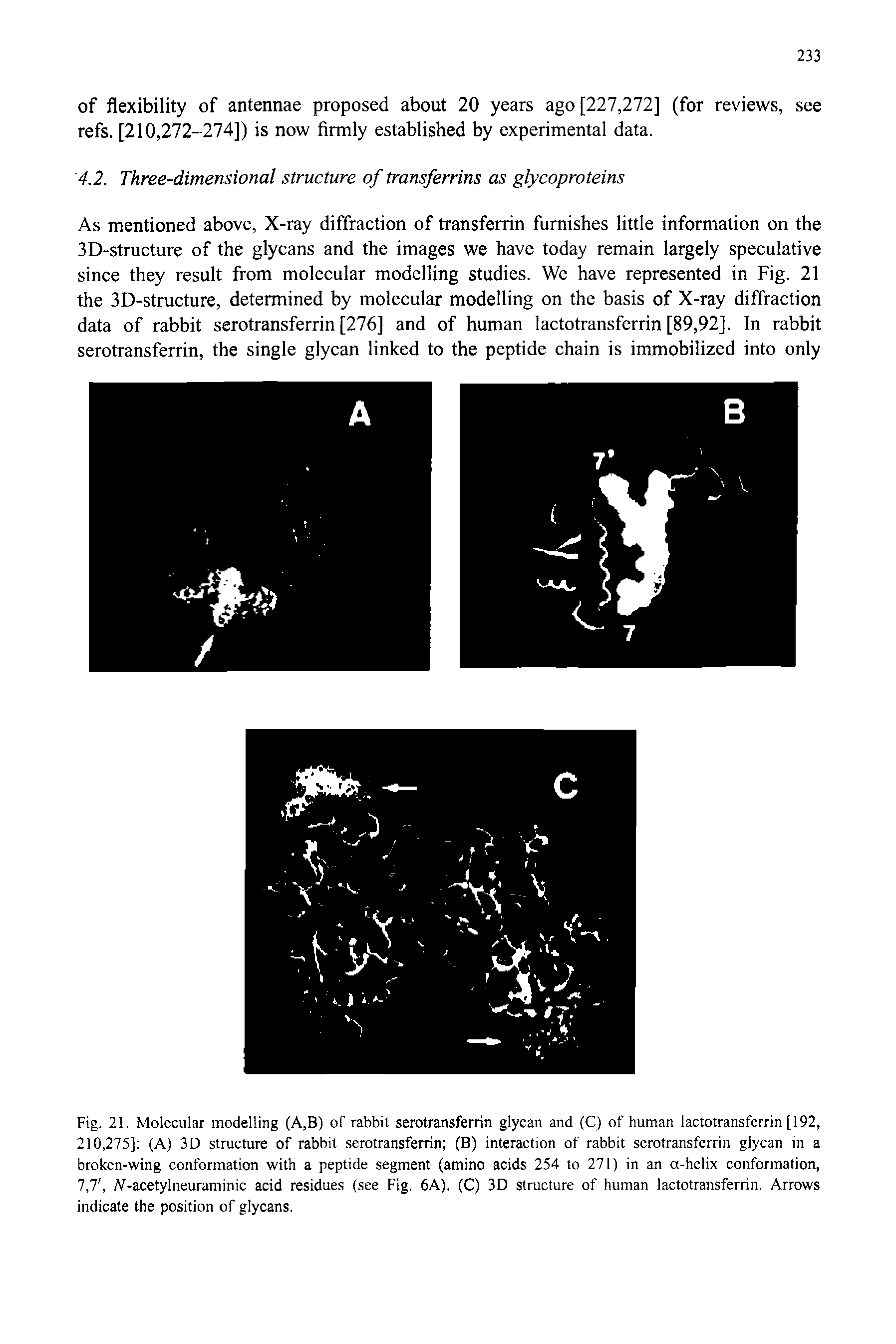 Fig. 21. Molecular modelling (A,B) of rabbit serotransferrin glycan and (C) of human lactotransferrin [192, 210,275] (A) 3D structure of rabbit serotransferrin (B) interaction of rabbit serotransferrin glycan in a broken-wing conformation with a peptide segment (amino acids 254 to 271) in an a-helix conformation, 7,7, Al-acetylneuraminic acid residues (see Fig. 6A). (C) 3D structure of human lactotransferrin. Arrows indicate the position of glycans.