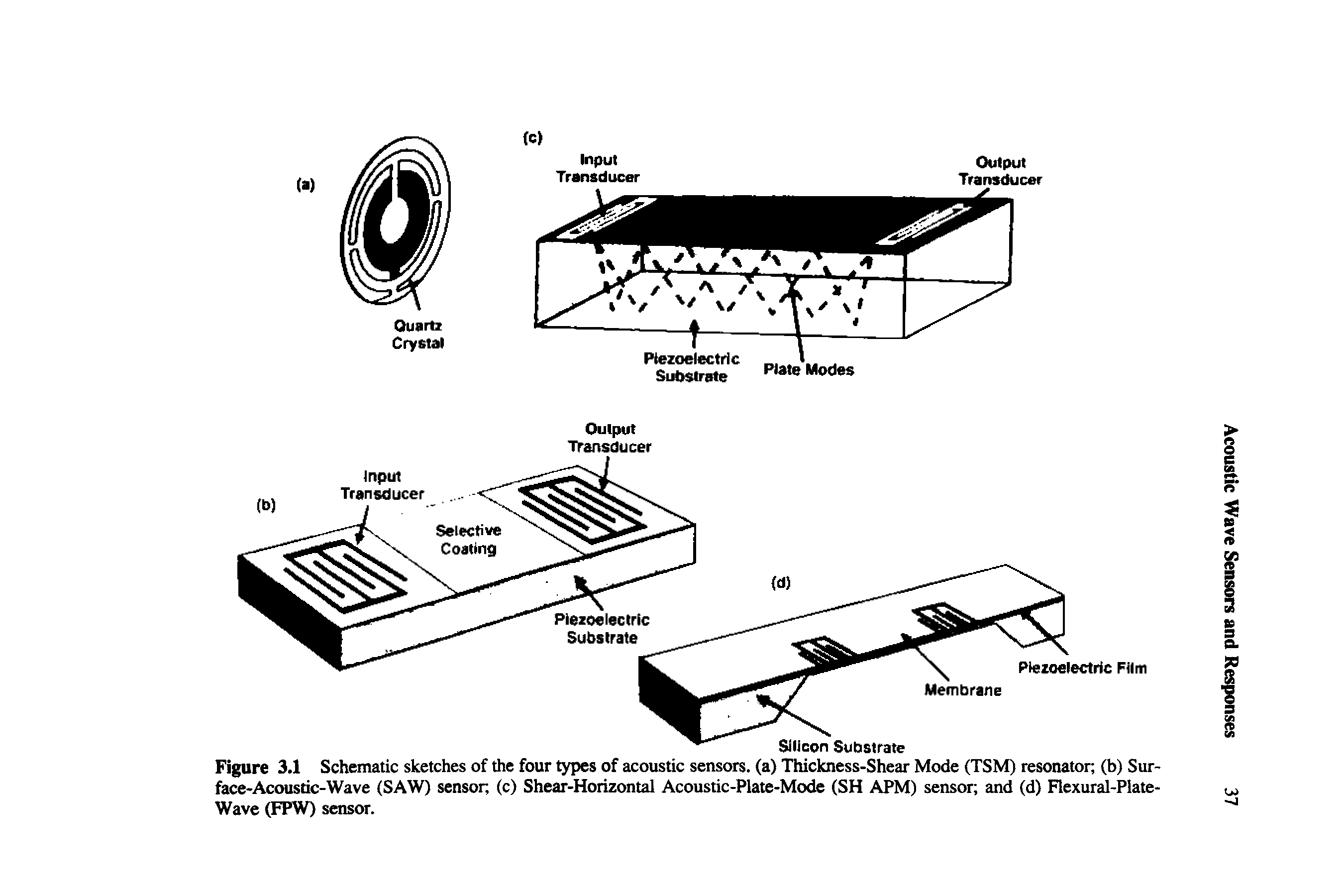 Figure 3.1 Schematic sketches of the four types of acoustic sensors, (a) Thickness-Shear Mode (TSM) resonator (b) Surface-Acoustic-Wave (SAW) sensor, (c) Shear-Horizontal Acoustic-Plate-Mode (SH APM) sensor, and (d) Flexural-Plate-Wave (FPW) sensor.