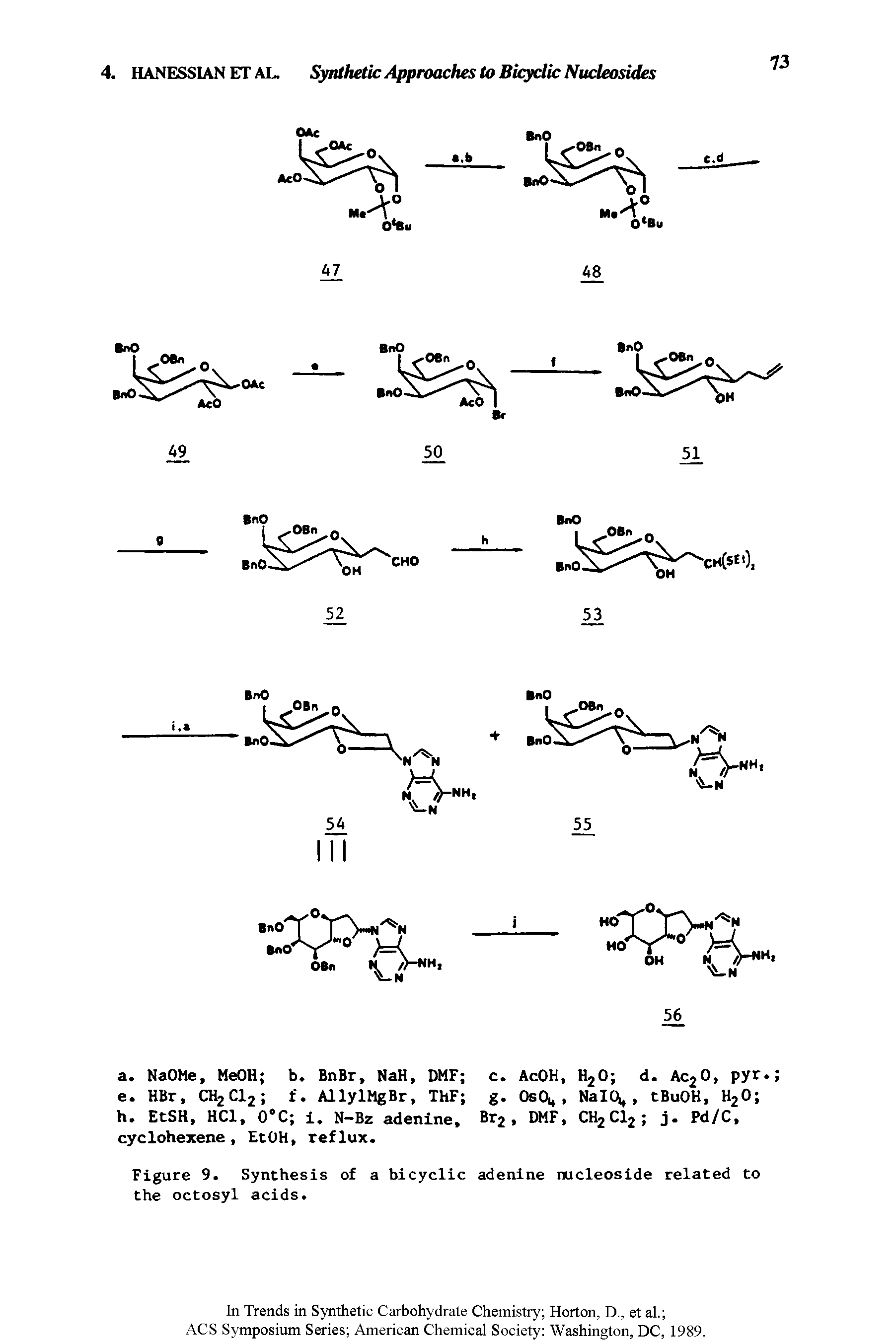 Figure 9. Synthesis of a bicyclic adenine nucleoside related to the octosyl acids.