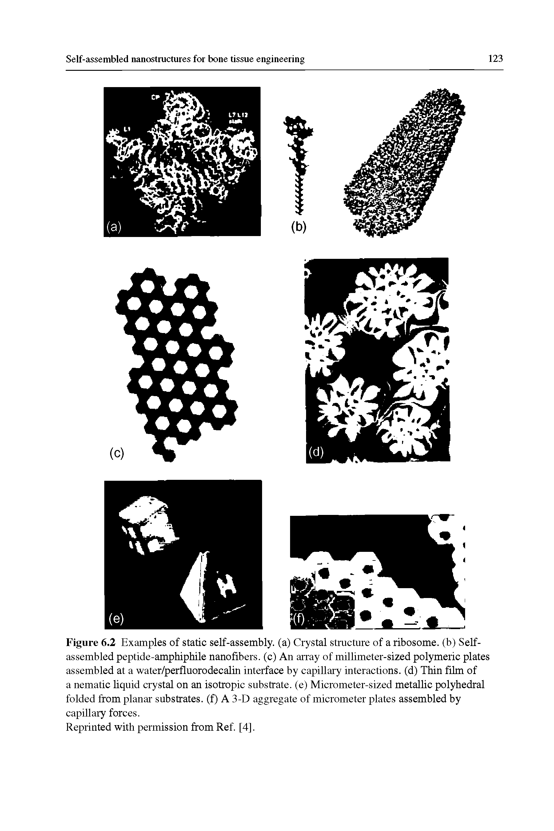 Figure 6.2 Examples of static self-assembly, (a) Crystal structure of a ribosome, (b) Self-assembled peptide-amphiphile nanofibers, (c) An array of millimeter-sized polymeric plates assembled at a water/perfluorodecalin interface by capillary interactions, (d) Thin film of a nematic liquid crystal on an isotropic substrate, (e) Micrometer-sized metallic polyhedral folded from planar substrates, (f) A 3-D aggregate of micrometer plates assembled by capillary forces.