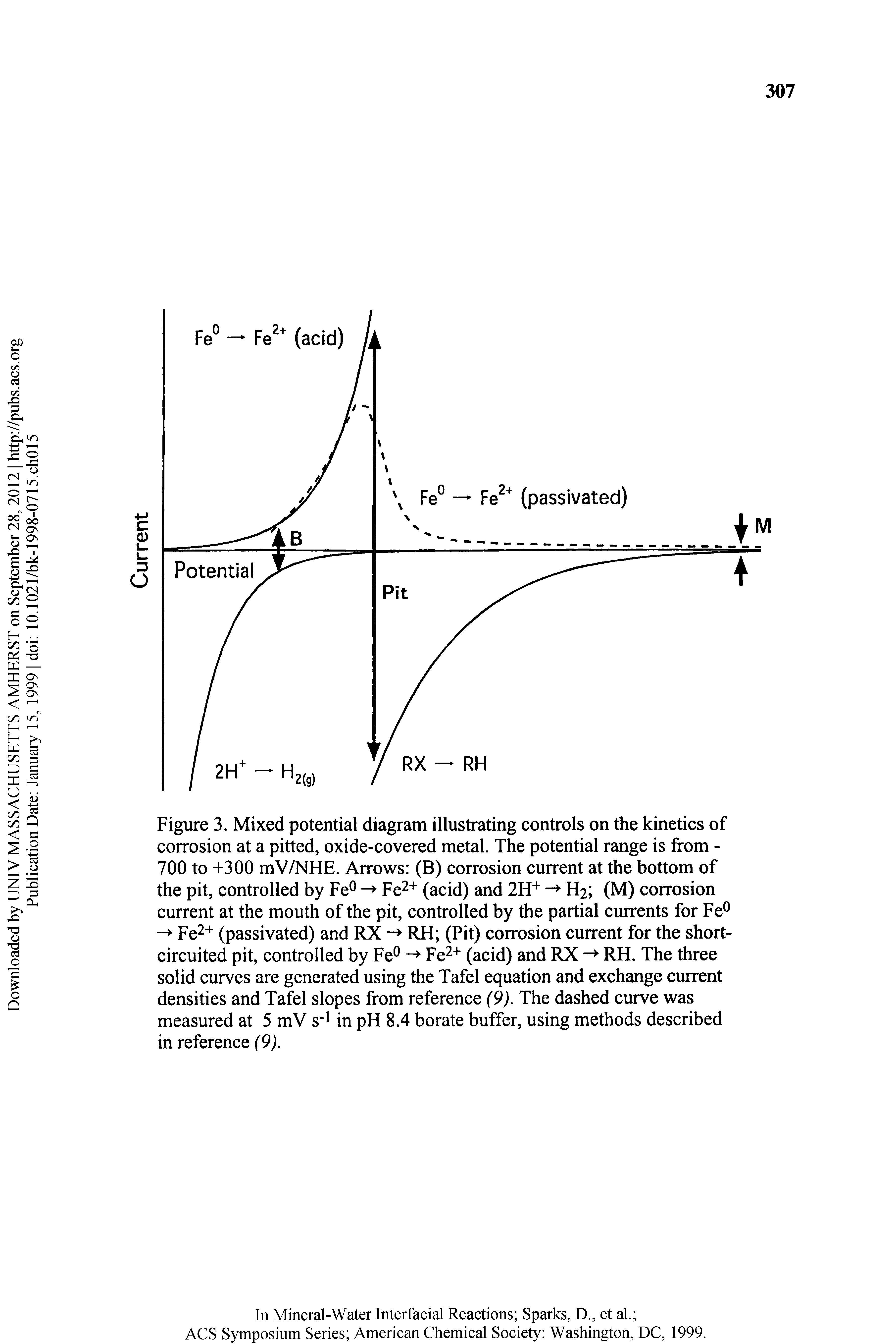 Figure 3. Mixed potential diagram illustrating controls on the kinetics of corrosion at a pitted, oxide-covered metal. The potential range is from -700 to +300 mV/NHE. Arrows (B) corrosion current at the bottom of the pit, controlled by Fe Fe + (acid) and 2H - H2 (M) corrosion current at the mouth of the pit, controlled by the partial currents for Fe -> Fe2+ (passivated) and RX RH (Pit) corrosion current for the short-circuited pit, controlled by Fe Fe + (acid) and RX - RH. The three solid curves are generated using the Tafel equation and exchange current densities and Tafel slopes from reference (9). The dashed curve was measured at 5 mV s in pH 8.4 borate buffer, using methods described in reference (9).