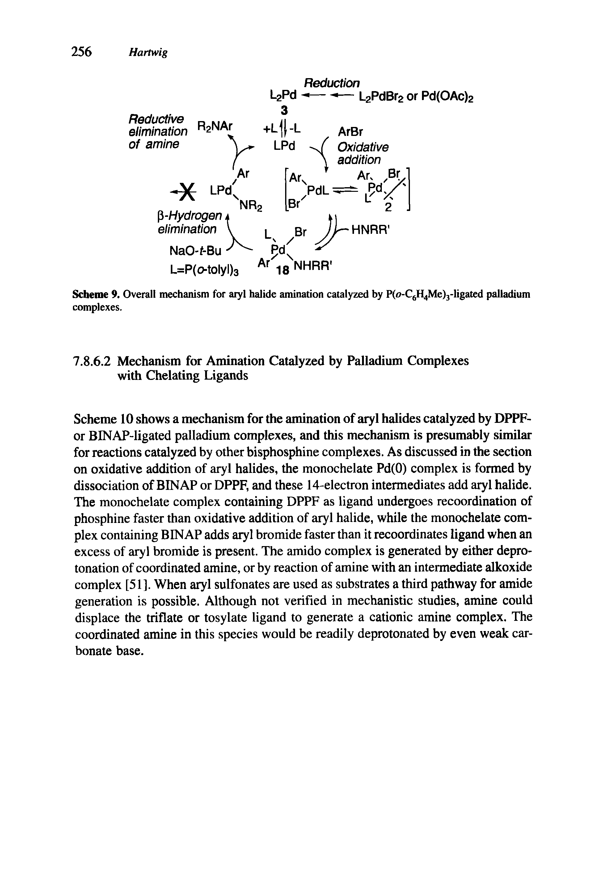 Scheme 9. Overall mechanism for aryl halide amination catalyzed by P(o-C6H4Me)3-ligated palladium complexes.