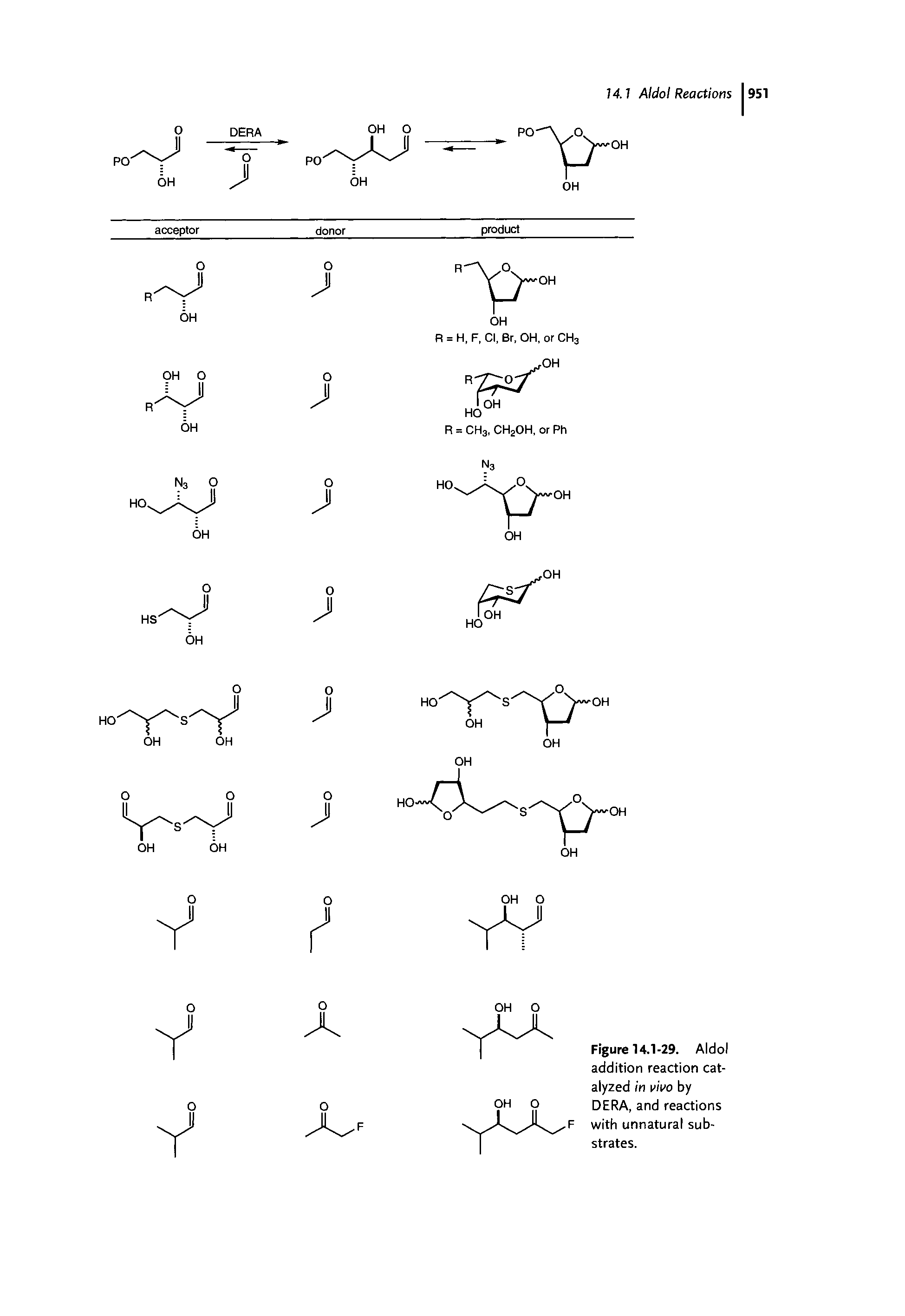 Figure 14.1-29. Aldol addition reaction catalyzed in iwo by DERA, and reactions F with unnatural sub-...
