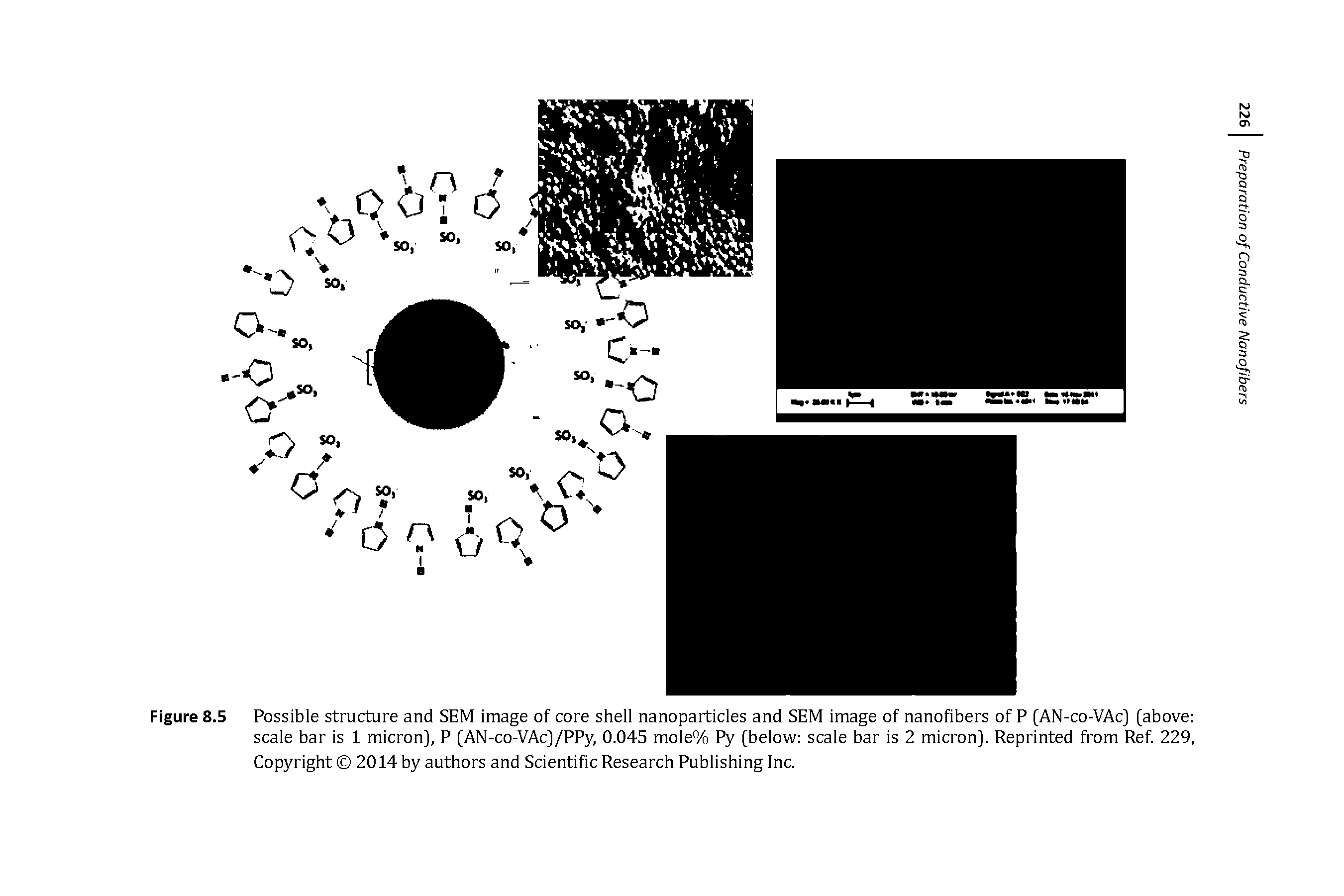 Figure 8.5 Possible structure and SEM image of core shell nanoparticles and SEM image of nanofibers of P [AN-co-VAc] [above scale bar is 1 micron], P [AN-co-VAc]/PPy, 0.045 mole% Py [below scale bar is 2 micron]. Reprinted from Ref 229, Copyright 2014 by authors and Scientific Research Publishing Inc.