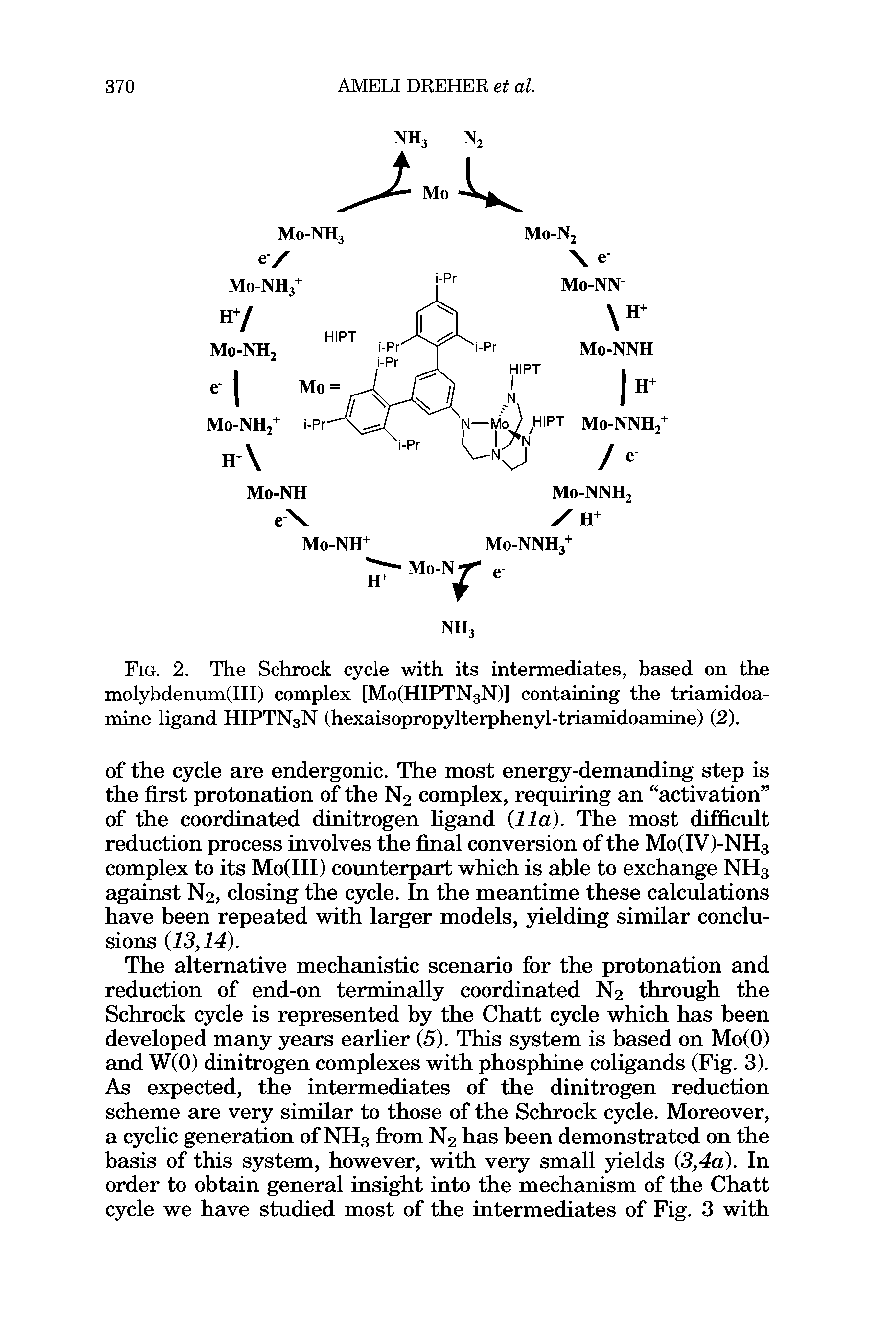 Fig. 2. The Schrock cycle with its intermediates, based on the molybdenum(III) complex [Mo(HIPTN3N)] containing the triamidoa-mine ligand HIPTN3N (hexaisopropylterphenyl-triamidoamine) (2).