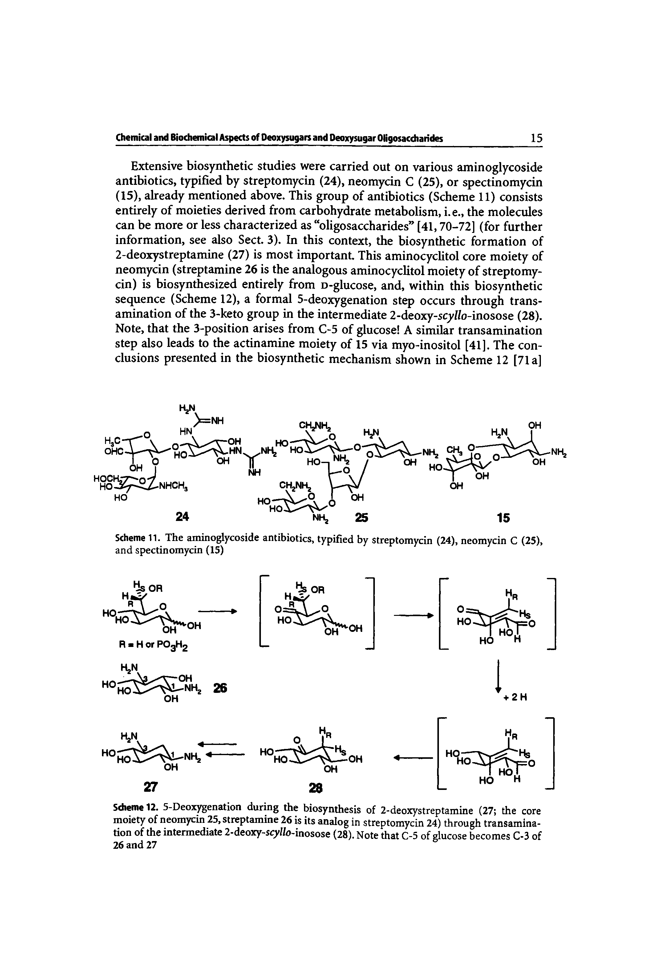 Scheme 12. 5-Deoxygenation during the biosynthesis of 2-deoxystreptamine (27 the core moiety of neomycin 25, streptamine 26 is its analog in streptomycin 24) through transamination of the intermediate 2-deoxy-scyl/o-inosose (28). Note that C-5 of glucose becomes C-3 of 26 and 27...