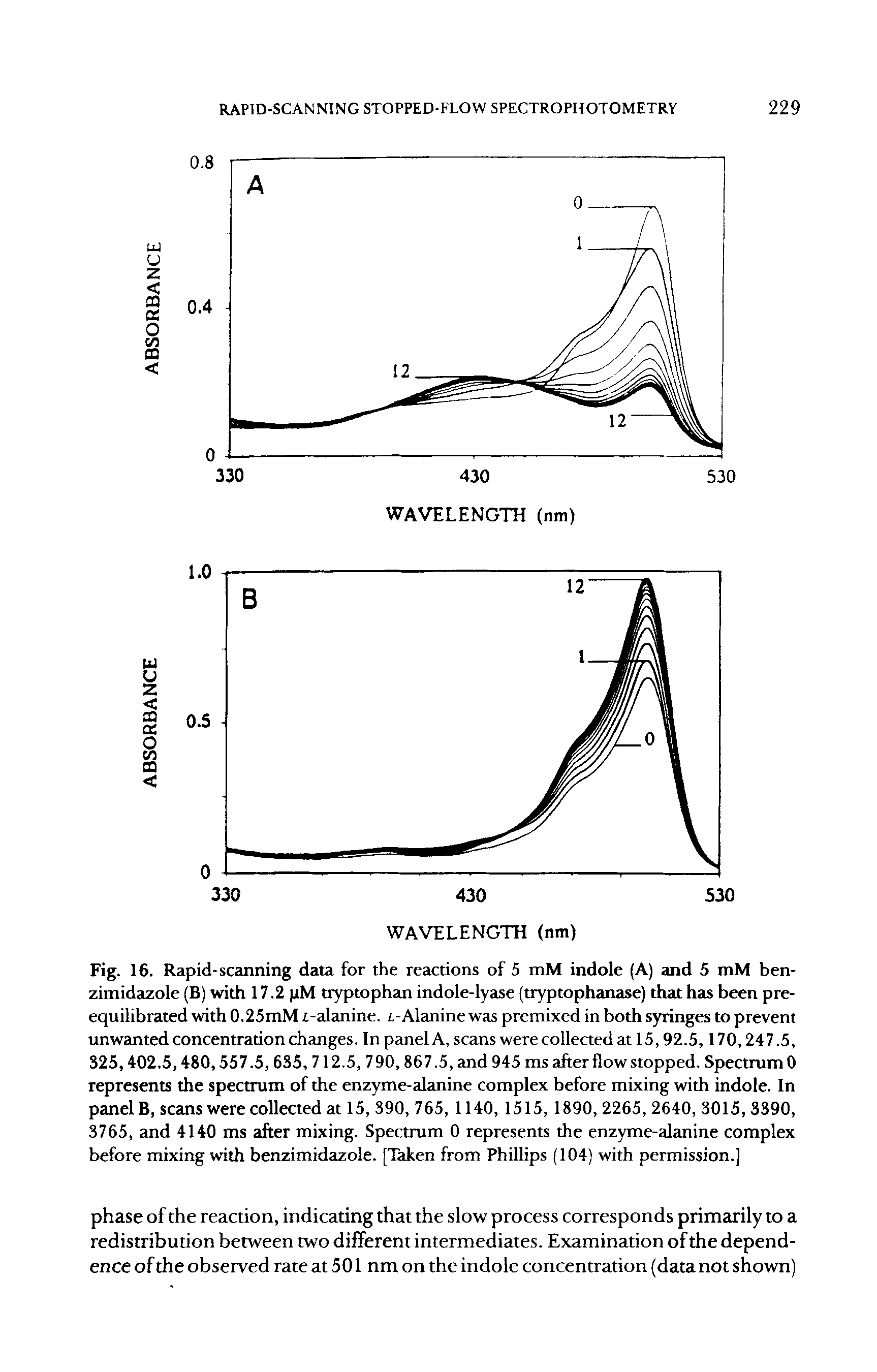 Fig. 16. Rapid-scanning data for the reactions of 5 mM indole (A) and 5 mM benzimidazole (B) with 17.2 iM tryptophan indole-lyase (tryptophanase) that has been preequilibrated with 0.25mM t-alanine. i-Alanine was premixed in both syringes to prevent unwanted concentration changes. In panel A, scans were collected at 15,92.5,170,247.5, 325,402.5,480,557.5, 635, 712.5, 790,867.5, and 945 ms after flow stopped. Spectrum 0 represents the spectrum of the enzyme-alanine complex before mixing with indole. In panel B, scans were collected at 15, 390, 765, 1140, 1515, 1890, 2265,2640, 3015,3390, 3765, and 4140 ms after mixing. Spectrum 0 represents the enzyme-alanine complex before mixing with benzimidazole. [Taken from Phillips (104) with permission.]...