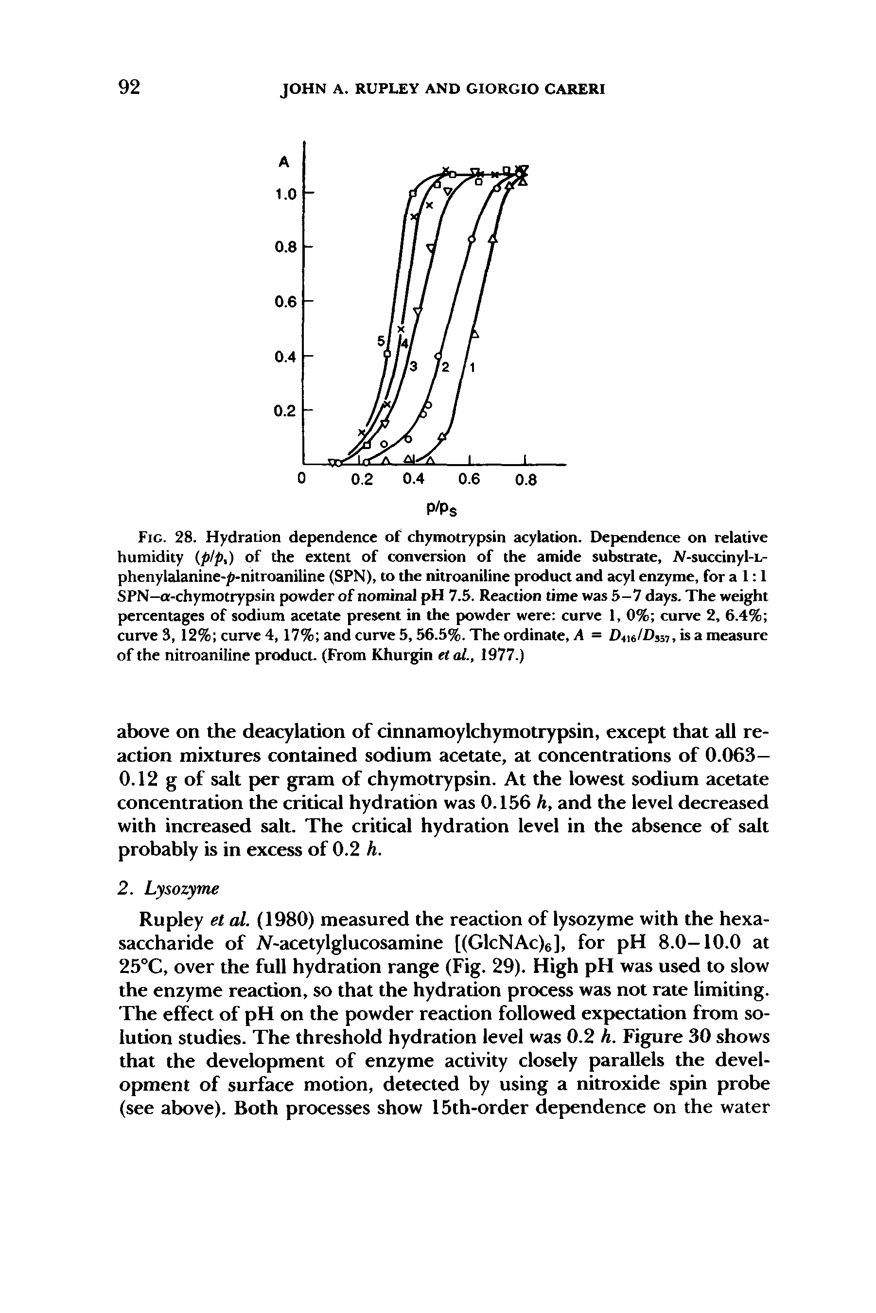 Fig. 28. Hydration dependence of chymotrypsin acylation. Dependence on relative humidity ( plp,) of the extent of conversion of the amide substrate, iV-succinyl-L-phenylalanine-p-nitroaniline (SPN), to the nitroaniline product and acyl enzyme, for a 1 1 SPN-o-chymotrypsin powder of nominal pH 7.5. Reaction time was 5-7 days. The weight percentages of sodium acetate present in the powder were curve 1, 0% curve 2, 6.4% curve 3, 12% curve 4, 17% and curve 5,56.5%. The ordinate, A = D416/DJ57, is a measure of the nitroaniline product. (From Khurgin etal., 1977.)...