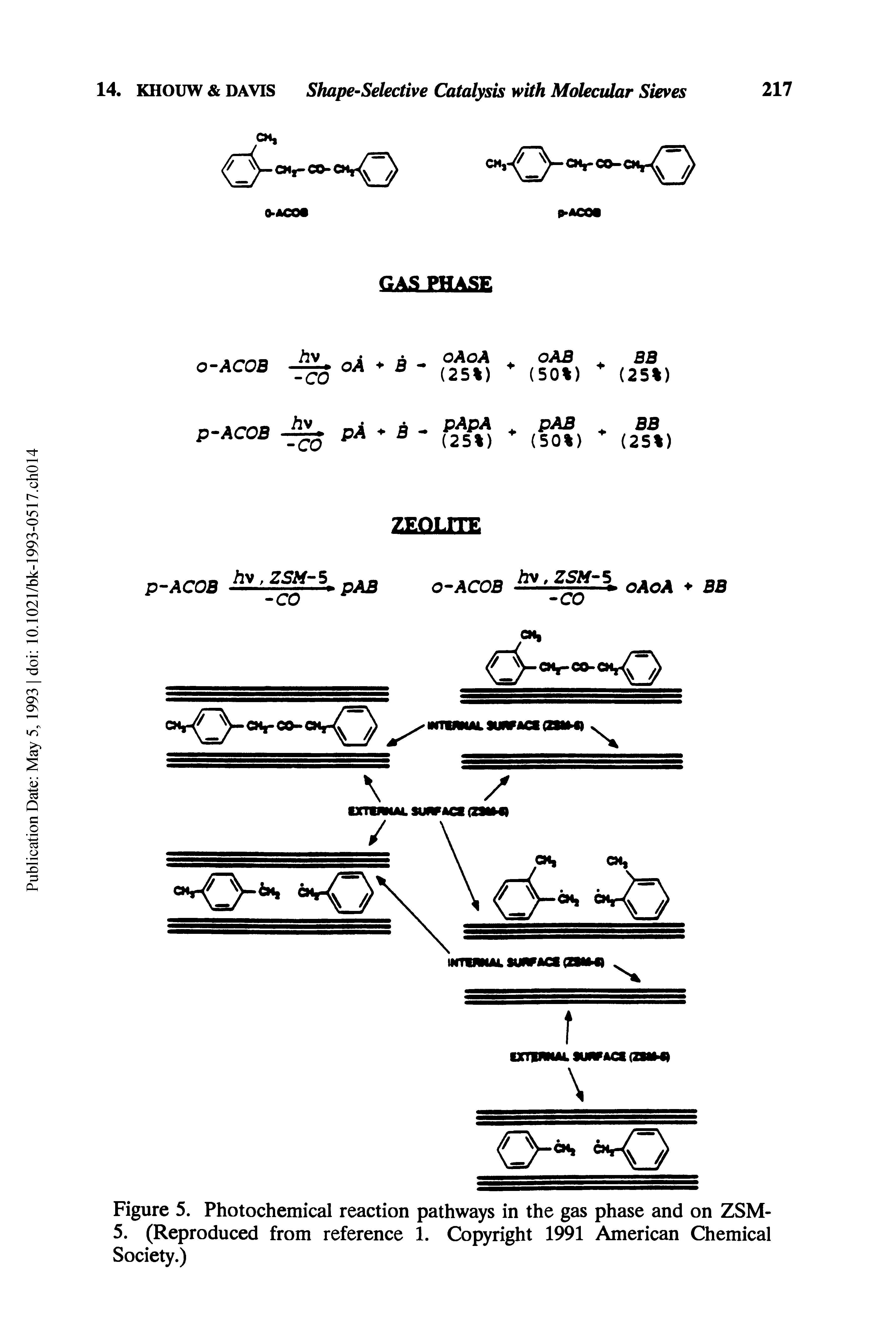 Figure 5. Photochemical reaction pathways in the gas phase and on ZSM-5. (Reproduced from reference 1. Copyright 1991 American Chemical Society.)...