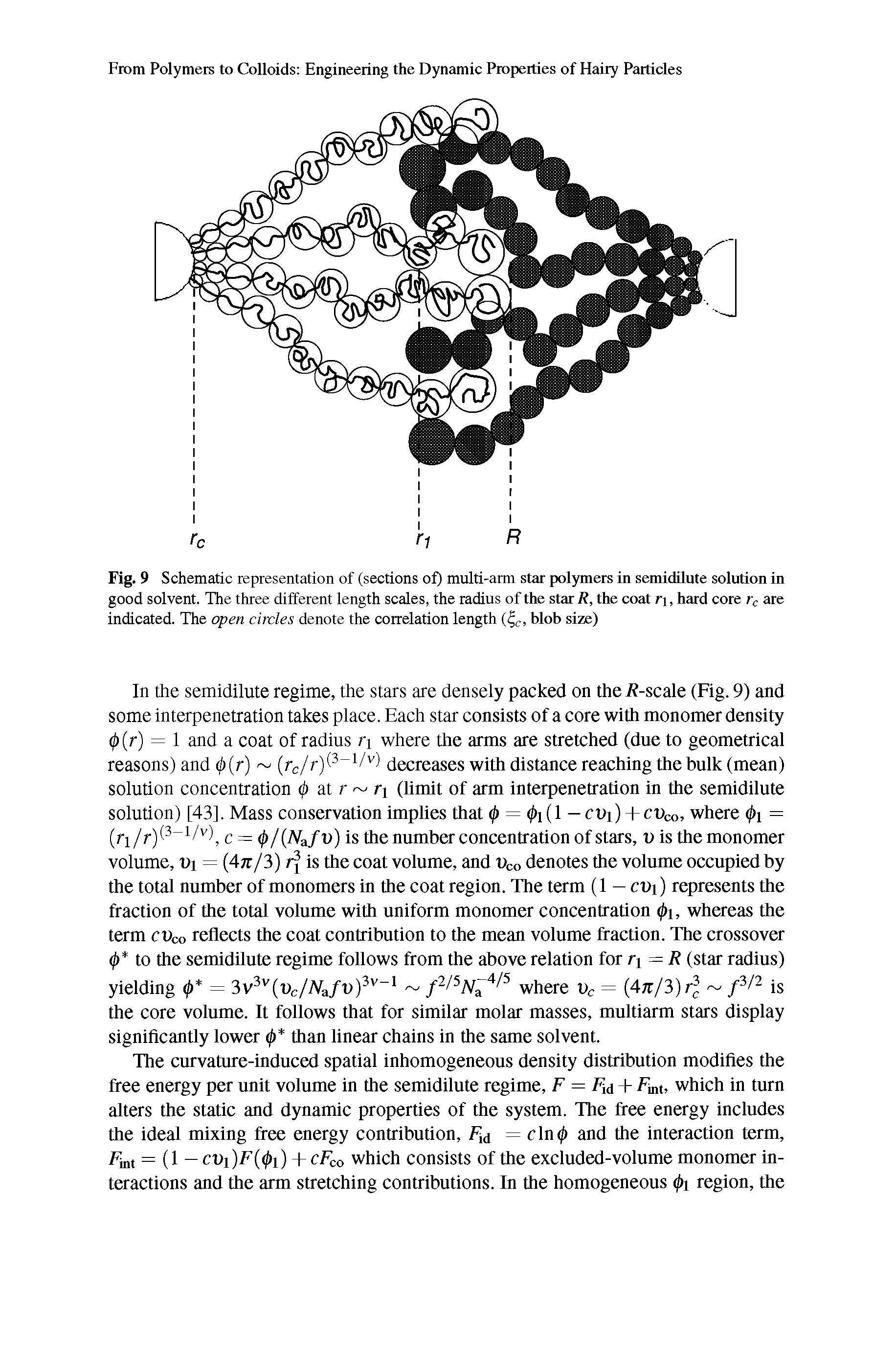 Fig. 9 Schematic representation of (sections of) multi-arm star polymers in semidilute solution in good solvent. The three different length scales, the radius ofthe star R, the coat ri, hard core are indicated. The open circles denote the correlation length blob size)...