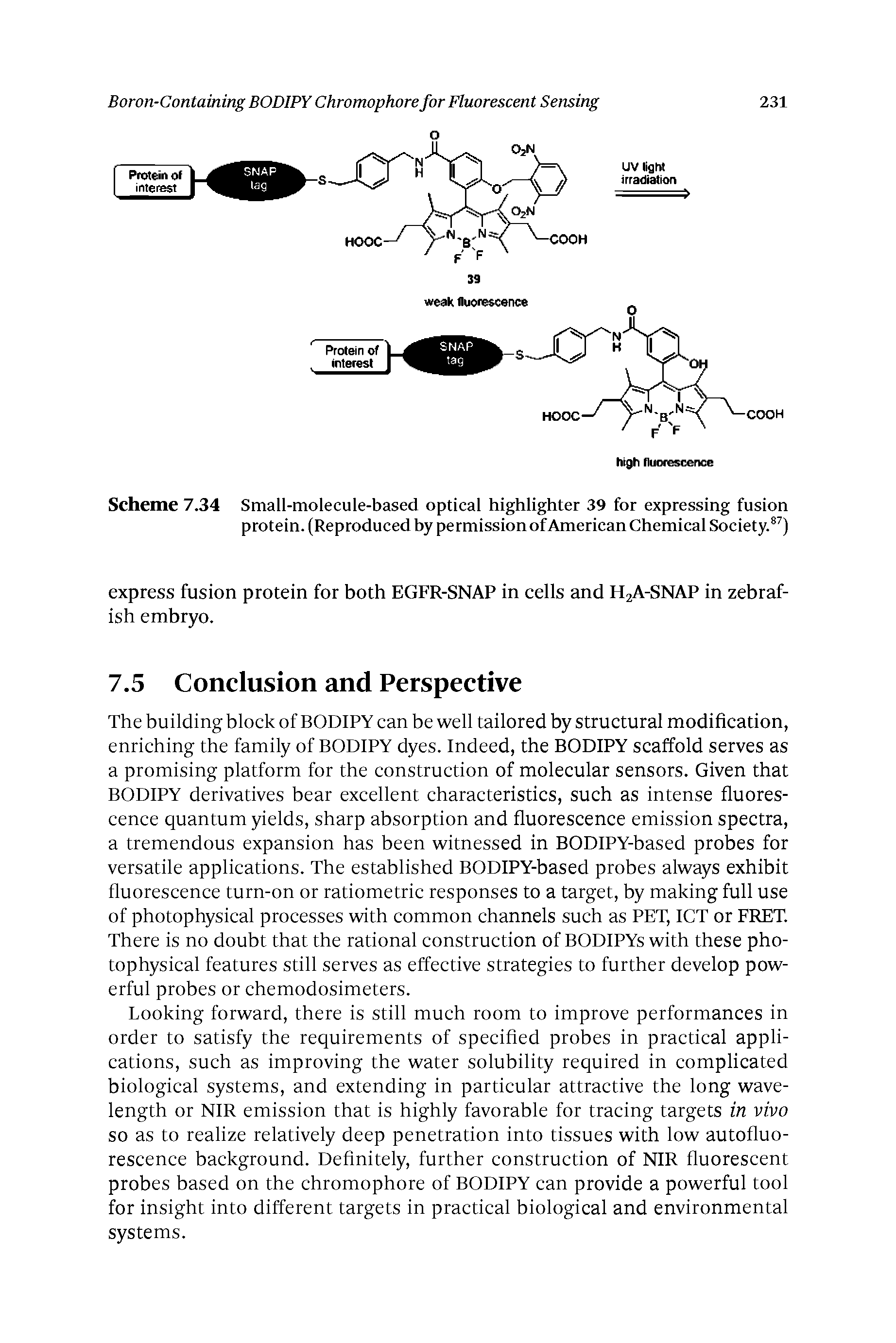 Scheme 7.34 Small-molecule-based optical highlighter 39 for expressing fusion protein. (Reproduced by permission of American Chemical Society.