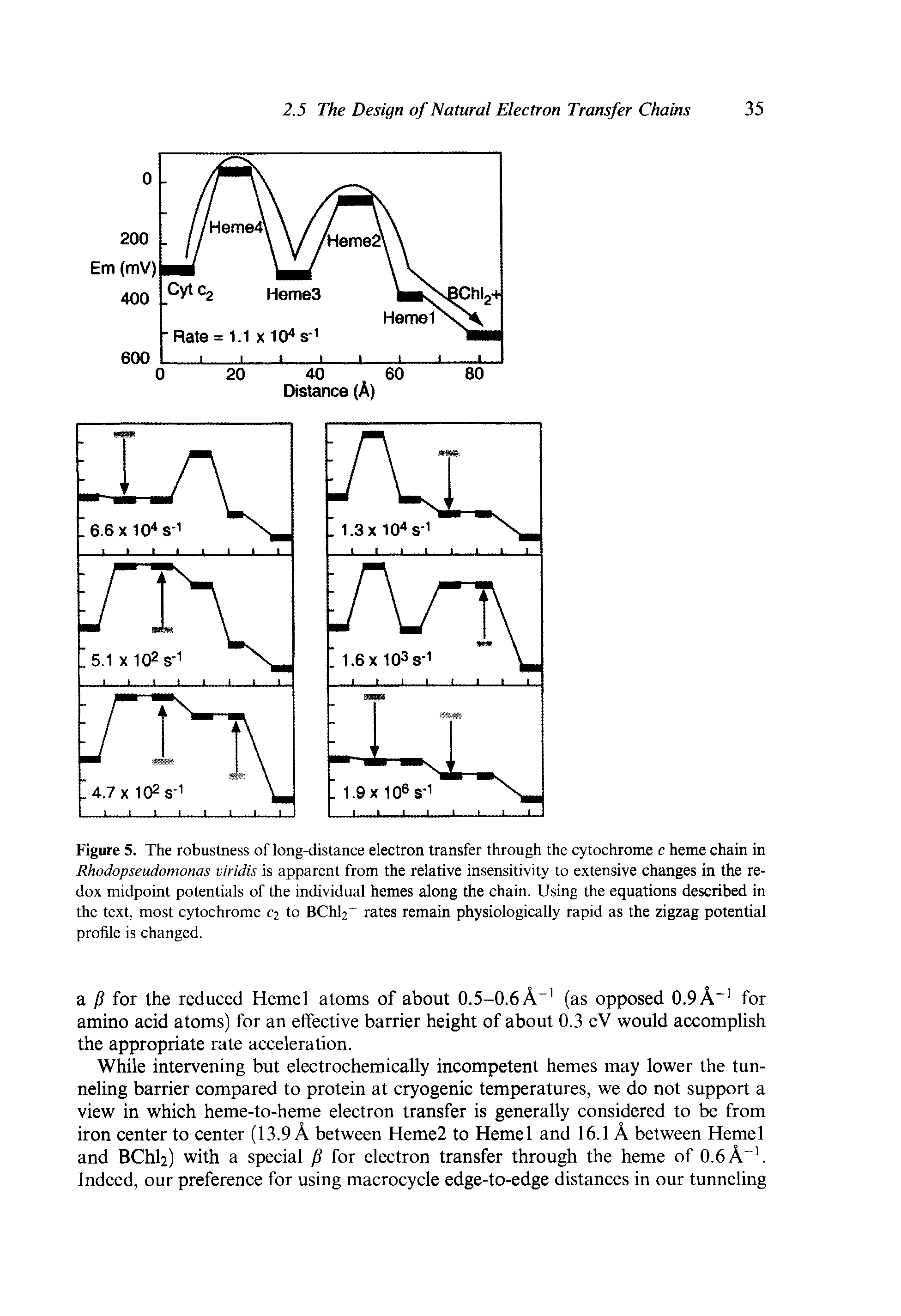 Figure 5. The robustness of long-distance electron transfer through the cytochrome c heme chain in Rhodopseudomonas viridis is apparent from the relative insensitivity to extensive changes in the redox midpoint potentials of the individual hemes along the chain. Using the equations described in the text, most cytochrome C2 to BChl2 rates remain physiologically rapid as the zigzag potential profile is changed.