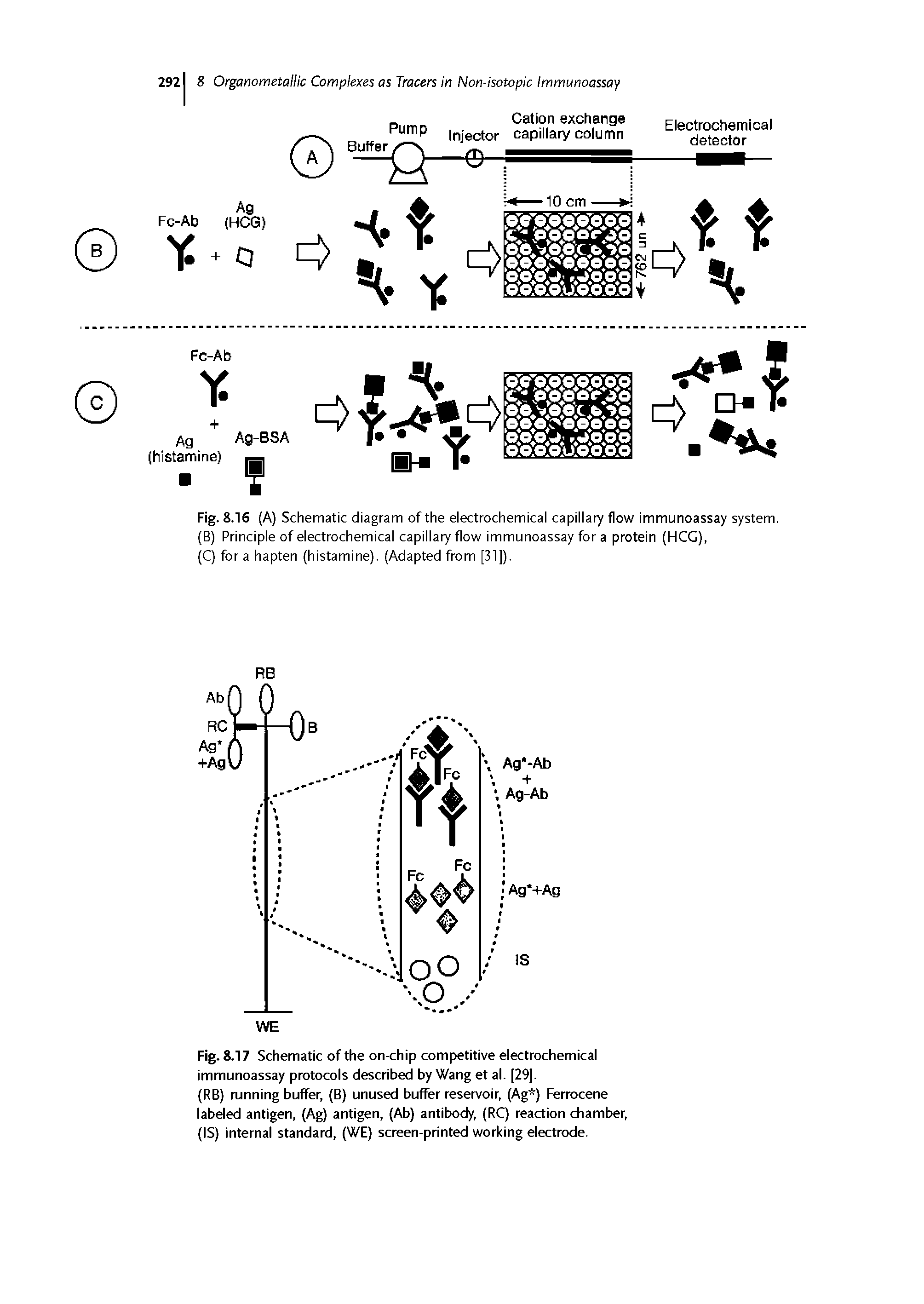 Fig. 8.16 (A) Schematic diagram of the electrochemical capillary flow immunoassay system. (B) Principle of electrochemical capillary flow immunoassay for a protein (HCG),...
