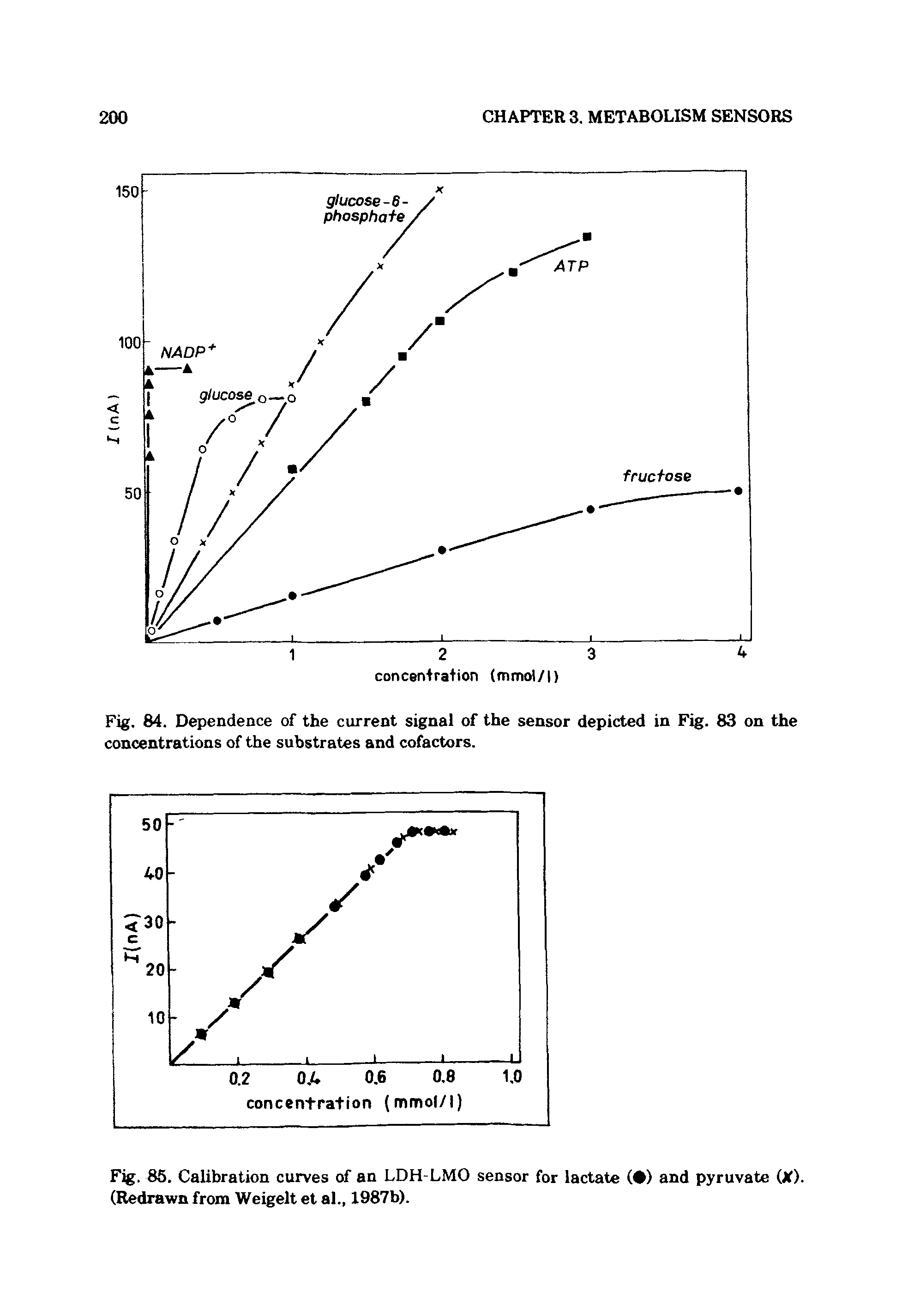 Fig. 85. Calibration curves of an LDH-LMO sensor for lactate ( ) and pyruvate (X). (Redrawn from Weigelt et al., 1987b).