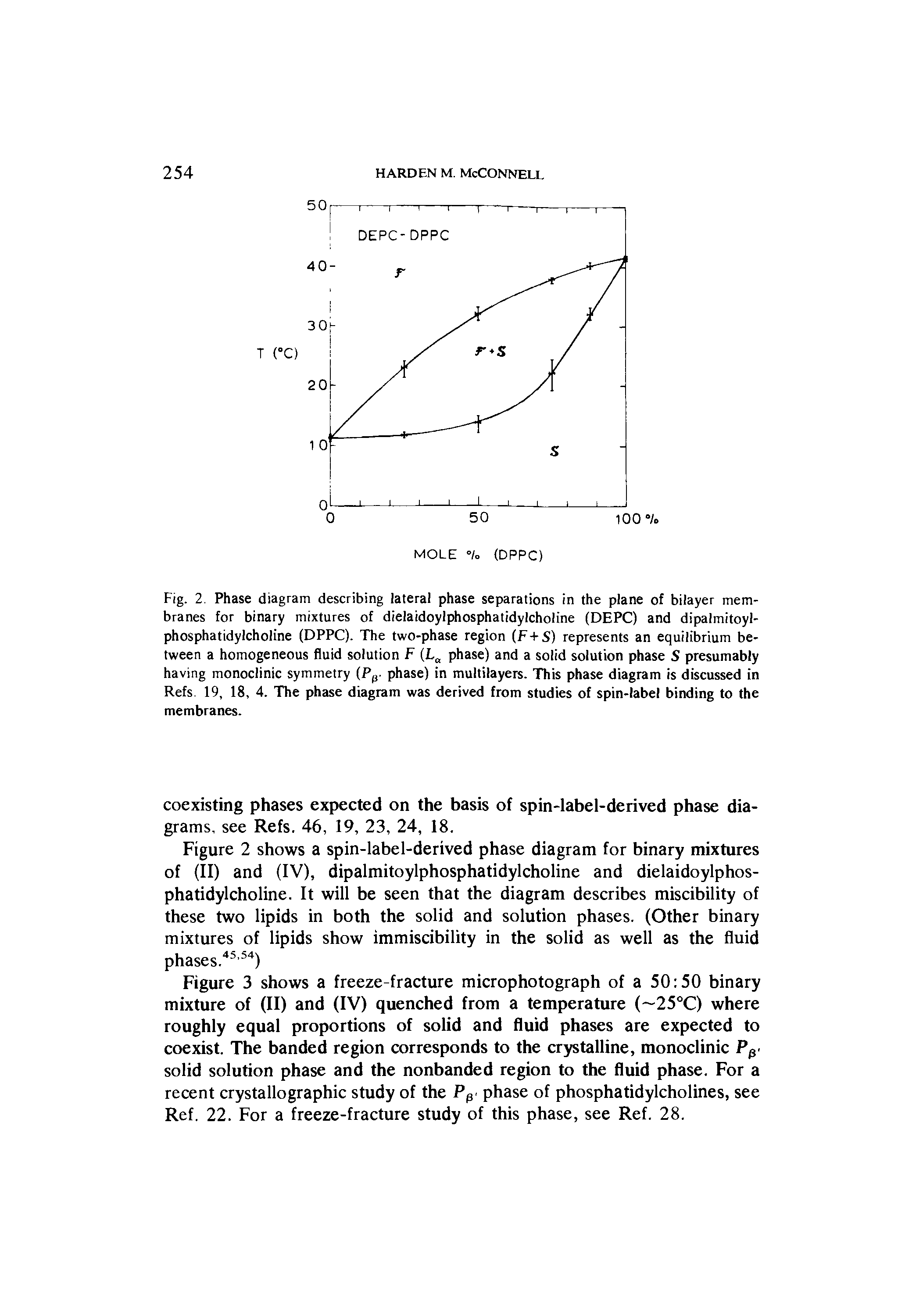 Fig. 2. Phase diagram describing lateral phase separations in the plane of bilayer membranes for binary mixtures of dielaidoylphosphatidylcholine (DEPC) and dipalmitoyl-phosphatidylcholine (DPPC). The two-phase region (F+S) represents an equilibrium between a homogeneous fluid solution F (La phase) and a solid solution phase S presumably having monoclinic symmetry (P(J. phase) in multilayers. This phase diagram is discussed in Refs. 19, 18, 4. The phase diagram was derived from studies of spin-label binding to the membranes.