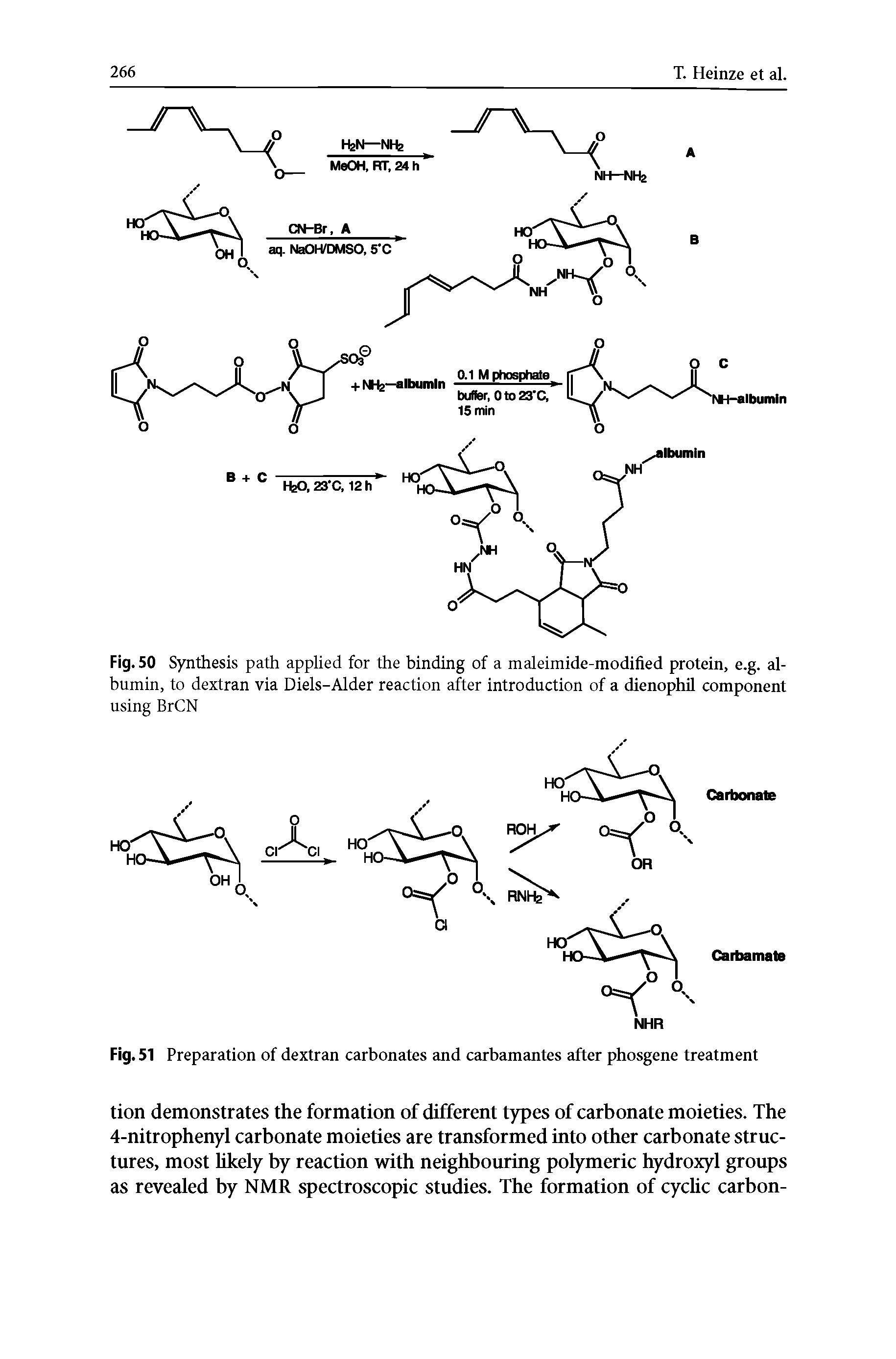 Fig. 51 Preparation of dextran carbonates and carbamantes after phosgene treatment...