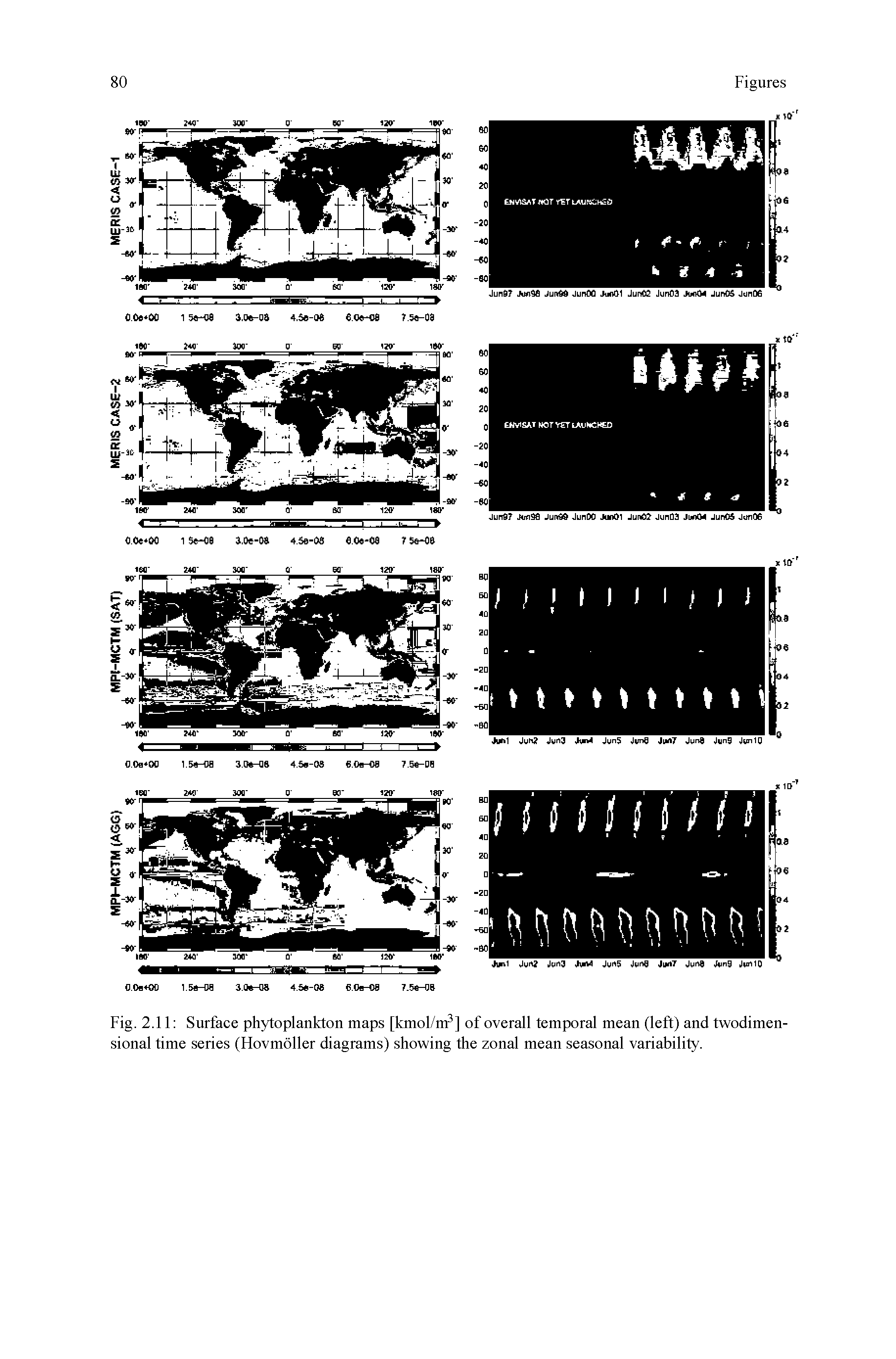 Fig. 2.11 Surface phytoplankton maps [kmol/m3] of overall temporal mean (left) and twodimensional time series (Hovmoller diagrams) showing the zonal mean seasonal variability.