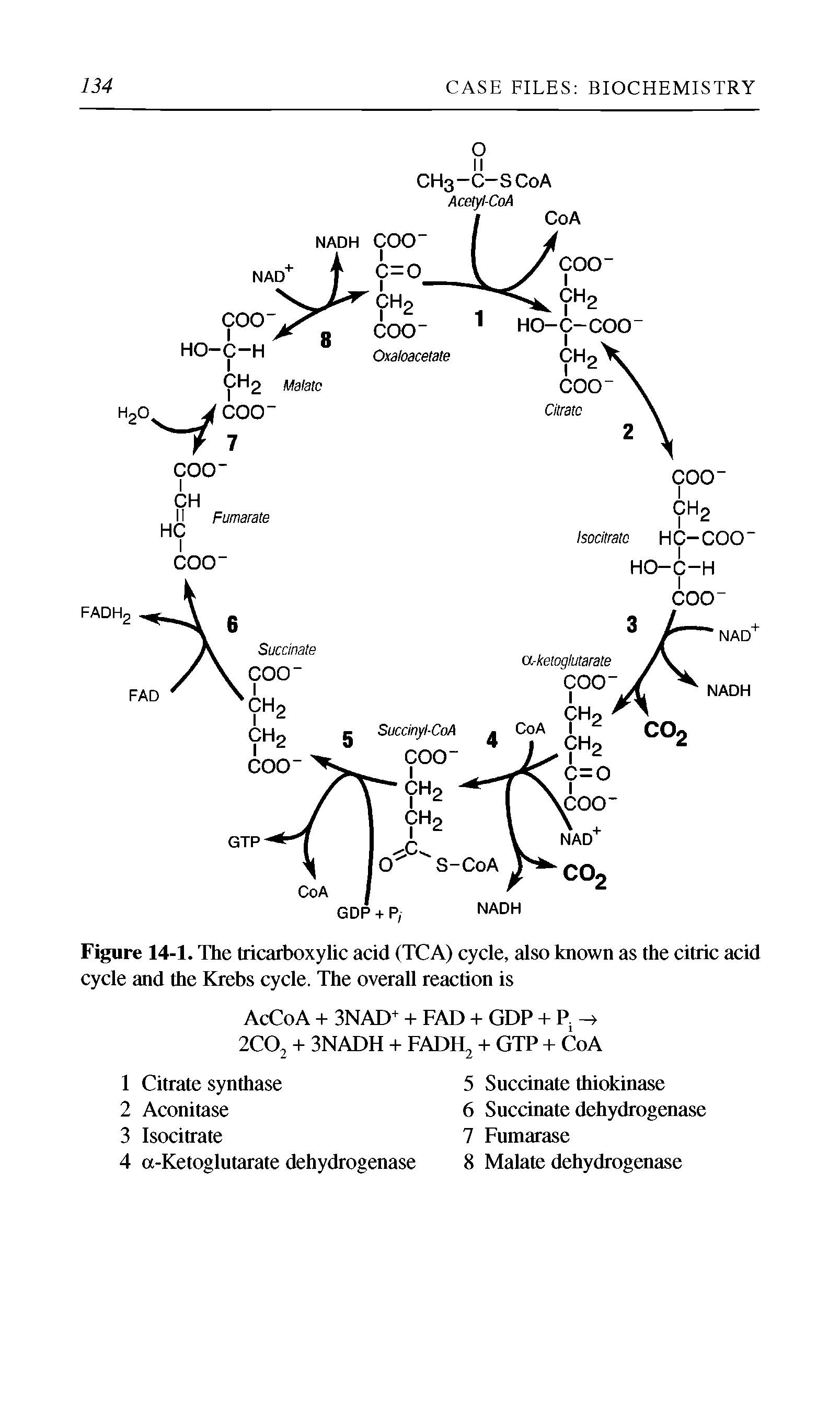 Figure 14-1. The tricarboxylic acid (TCA) cycle, also known as the citric acid cycle and the Krebs cycle. The overall reaction is...