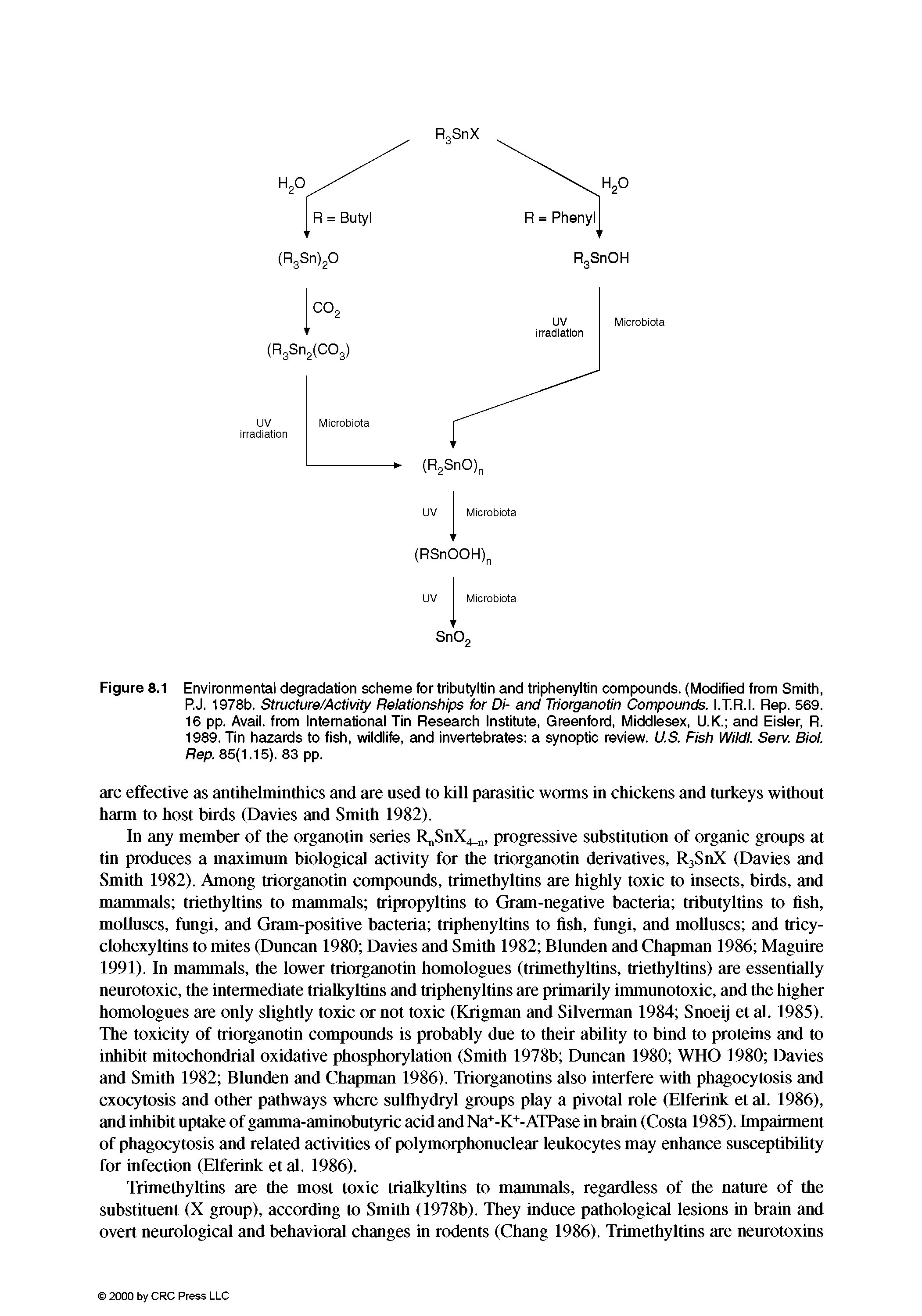 Figure 8.1 Environmental degradation scheme tor tributyltin and triphenyltin compounds. (Modified from Smith, P.J. 1978b. Structure/Activity Relationships for Di- and Triorganotin Compounds. I.T.R.I. Rep. 569. 16 pp. Avail, from International Tin Research Institute, Greenford, Middlesex, U.K. and Eisler, R. 1989. Tin hazards to fish, wildlife, and invertebrates a synoptic review. U.S. Fish Wildl. Serv. Biol. Rep. 85(1.15). 83 pp.