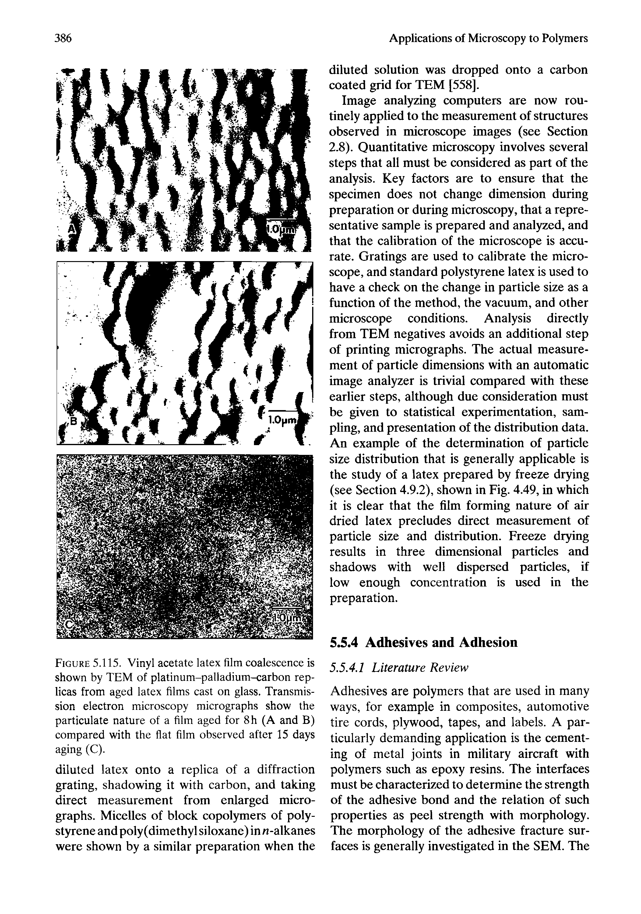 Figure 5.115. Vinyl acetate latex film coalescence is shown by TEM of platinum-palladium-carbon replicas from aged latex films cast on glass. Transmission electron microscopy micrographs show the particulate nature of a film aged for 8h (A and B) compared with the flat film observed after 15 days aging (C).