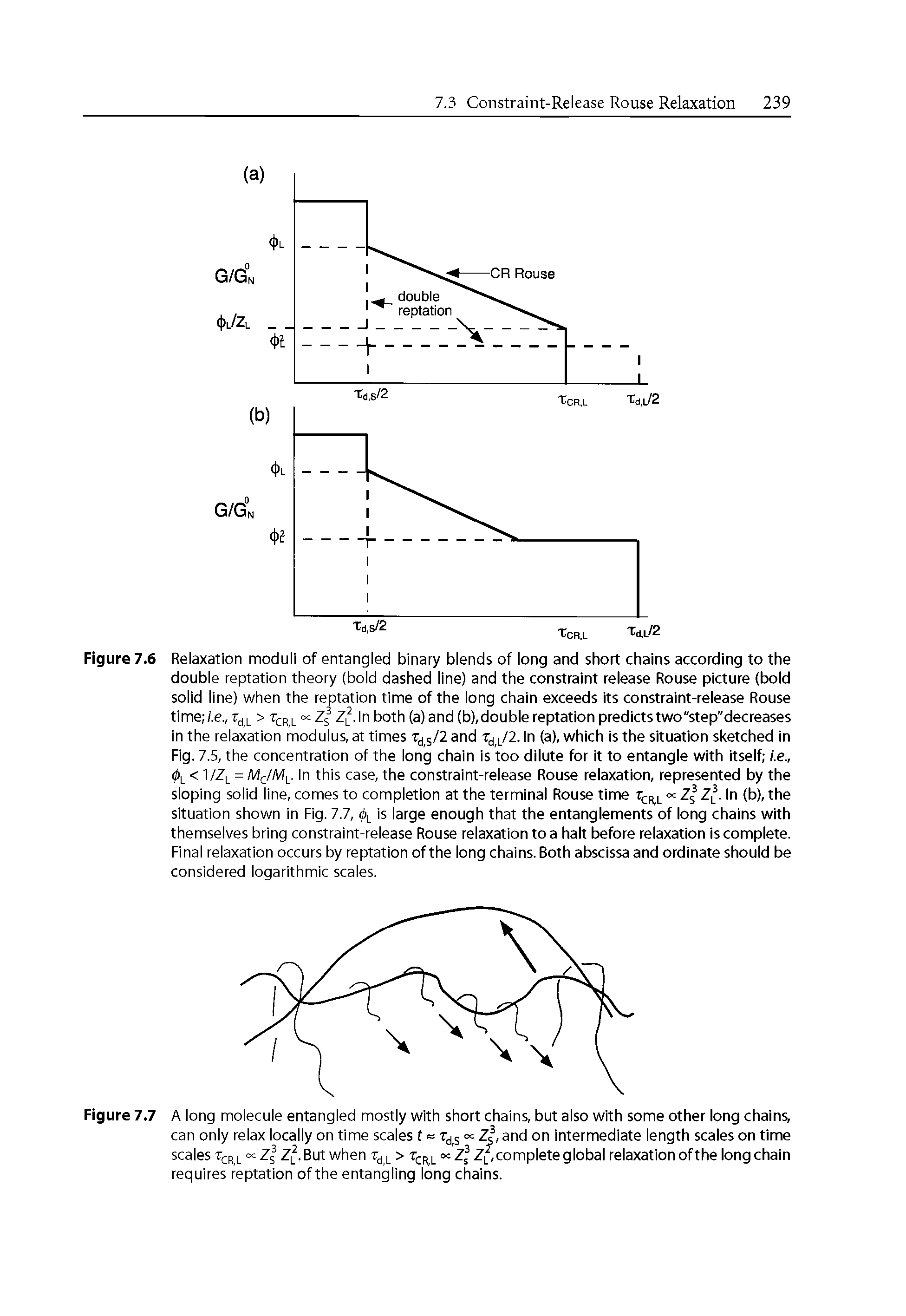 Figure 7.6 Relaxation moduli of entangled binary blends of long and short chains according to the double reptation theory (bold dashed line) and the constraint release Rouse picture (bold solid line) when the reptation time of the long chain exceeds its constraint-release Rouse time /.e.,TjL > cr,l both (a) and (b), double reptation predicts two "step" decreases...