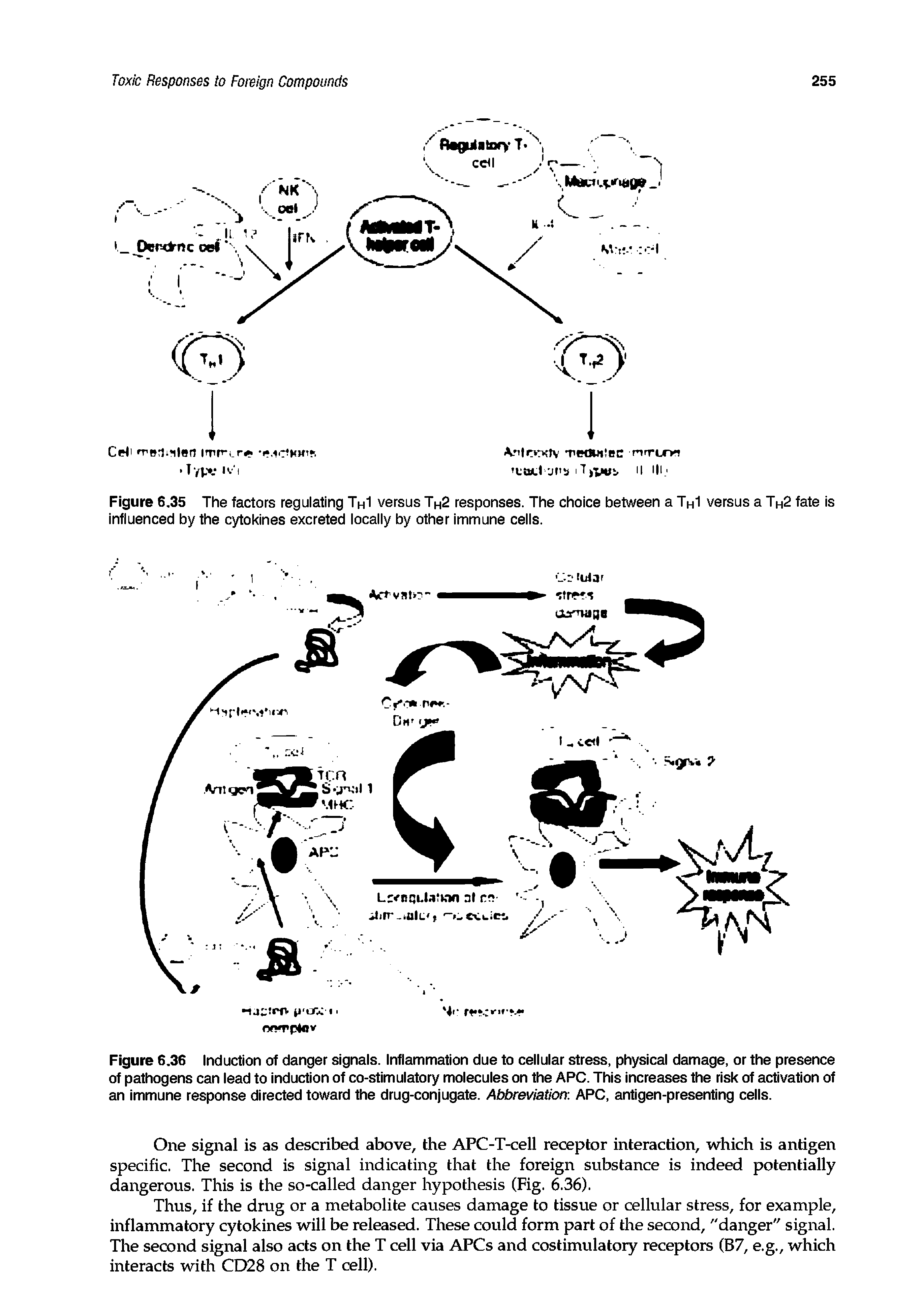 Figure 6.36 Induction of danger signals. Inflammation due to cellular stress, physical damage, or the presence of pathogens can lead to induction of co-stimulatory molecules on the APC. This increases the risk of activation of an immune response directed toward the drug-conjugate. Abbreviation APC, antigen-presenting cells.