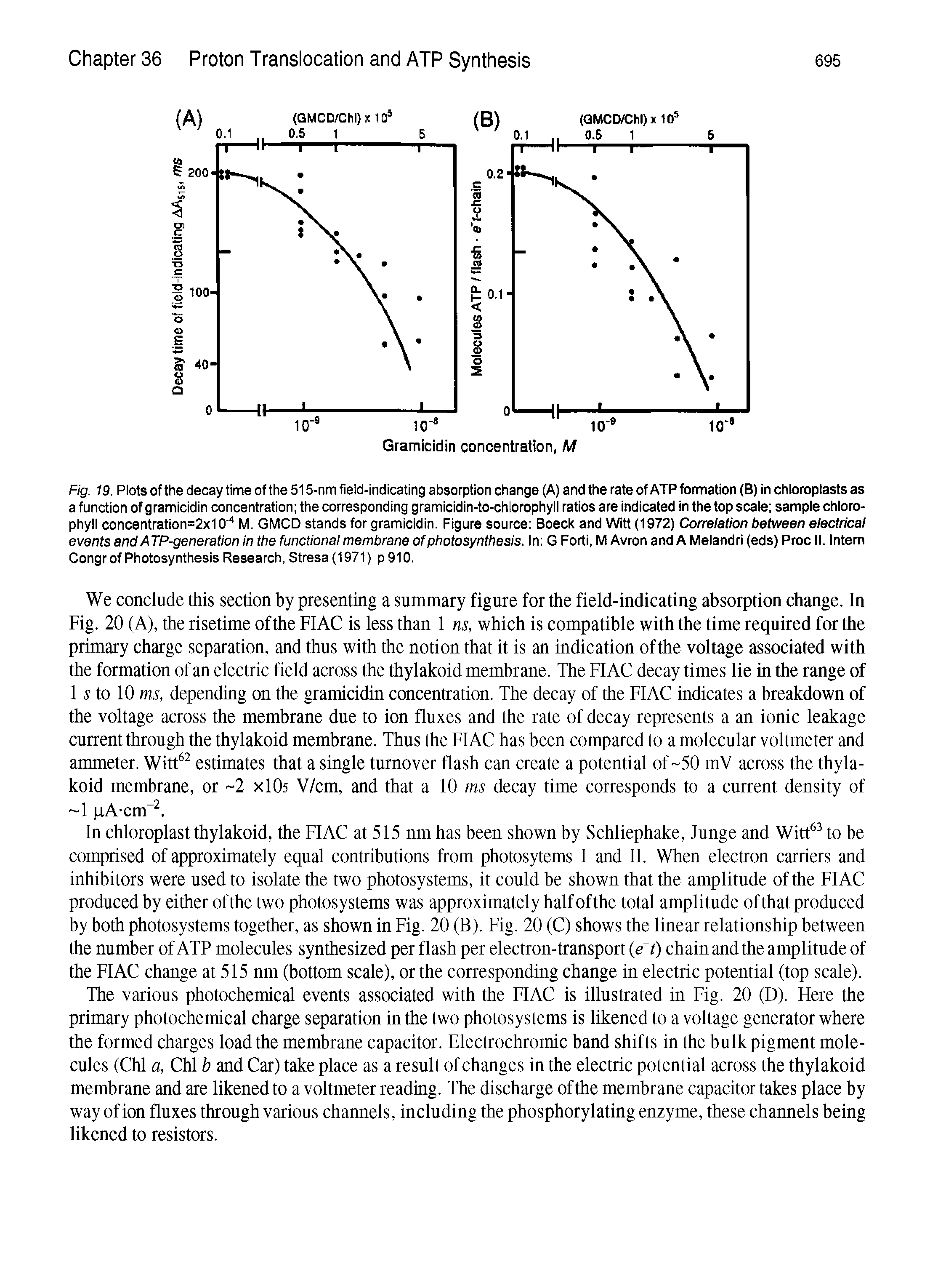 Fig. 19. Plots of the decay time of the 515-nm field-indicating absorption change (A) and the rate of ATP formation (B) in chloroplasts as a function of gramicidin concentration the corresponding gramicidin-to-chlorophyll ratios are indicated in the top scaie sampie chioro-phyll concentration=2x10 M. GMCD stands for gramicidin. Figure source Boeck and Witt (1972) Correlation between electrical events and ATP-generation in the functional membrane of photosynthesis. In G Forti, M Avron and A Melandri (eds) Proc II. Intern Congr of Photosynthesis Research, Stresa (1971) p 910.
