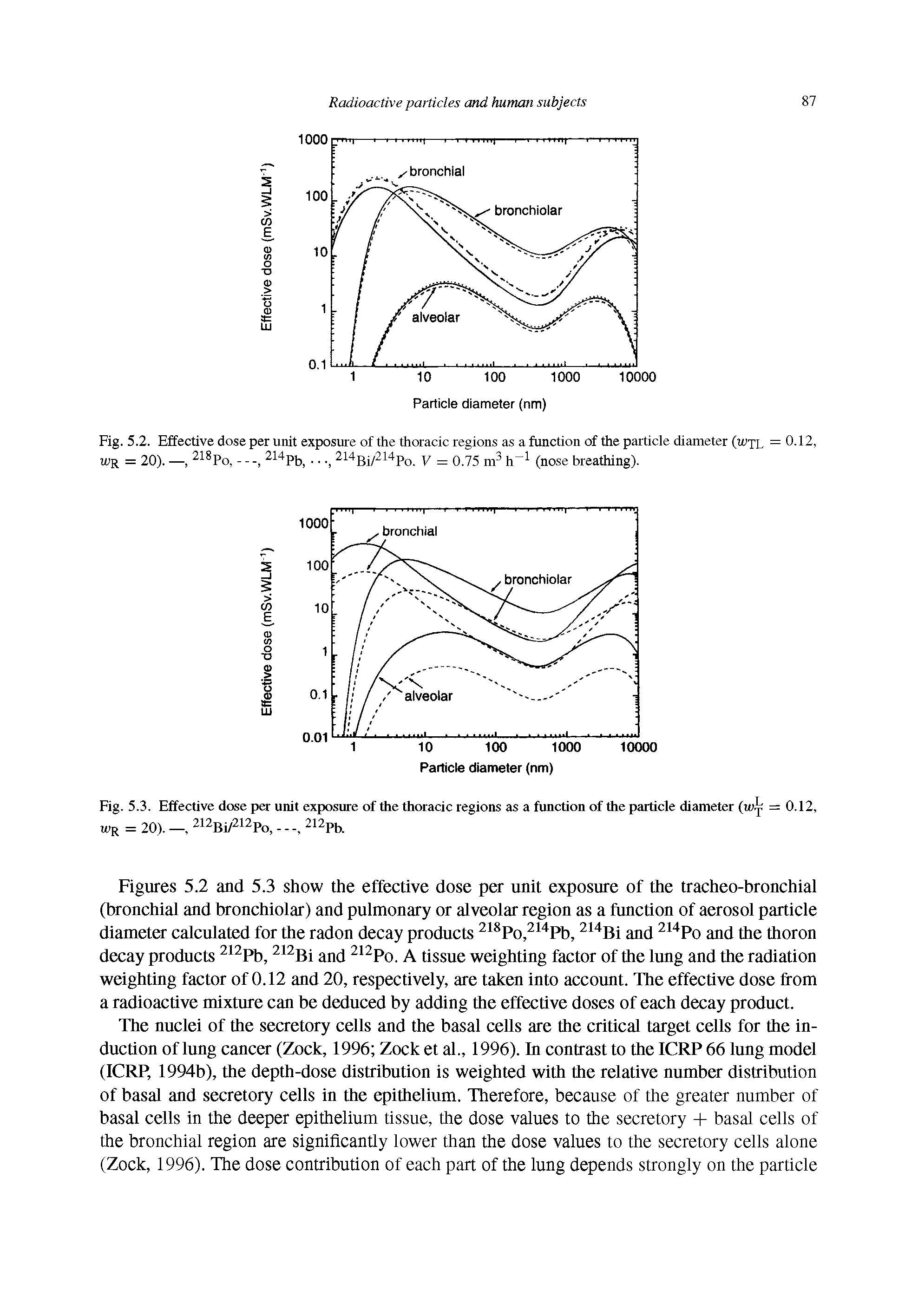 Figures 5.2 and 5.3 show the effective dose per unit exposure of the tracheo-bronchial (bronchial and bronchiolar) and pulmonary or alveolar region as a function of aerosol particle diameter calculated for the radon decay products Po, " Pb, and " Po and the thoron decay products Pb, Bi and Po. A tissue weighting factor of the lung and the radiation weighting factor of 0.12 and 20, respectively, are taken into account. The effective dose from a radioactive mixture can be deduced by adding the effective doses of each decay product.
