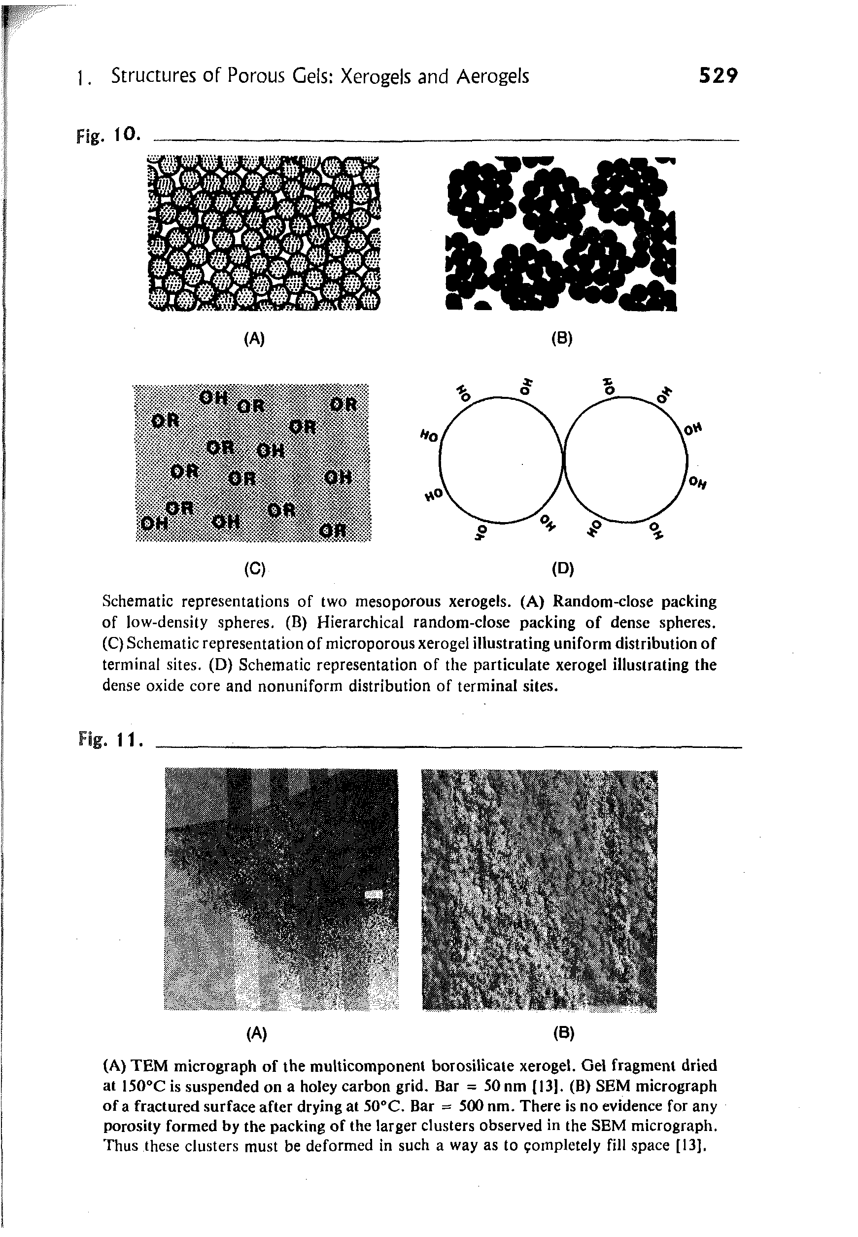 Schematic representations of two mesoporous xerogels. (A) Randonutlose packing of low-density spheres. (B) Hierarchical random-close packing of dense spheres. (C) Schematic representation of microporous xerogei illustrating uniform distribution of terminal sites. (D) Schematic representation of the particulate xerogei illustrating the dense oxide core and nonuniform distribution of terminal sites.