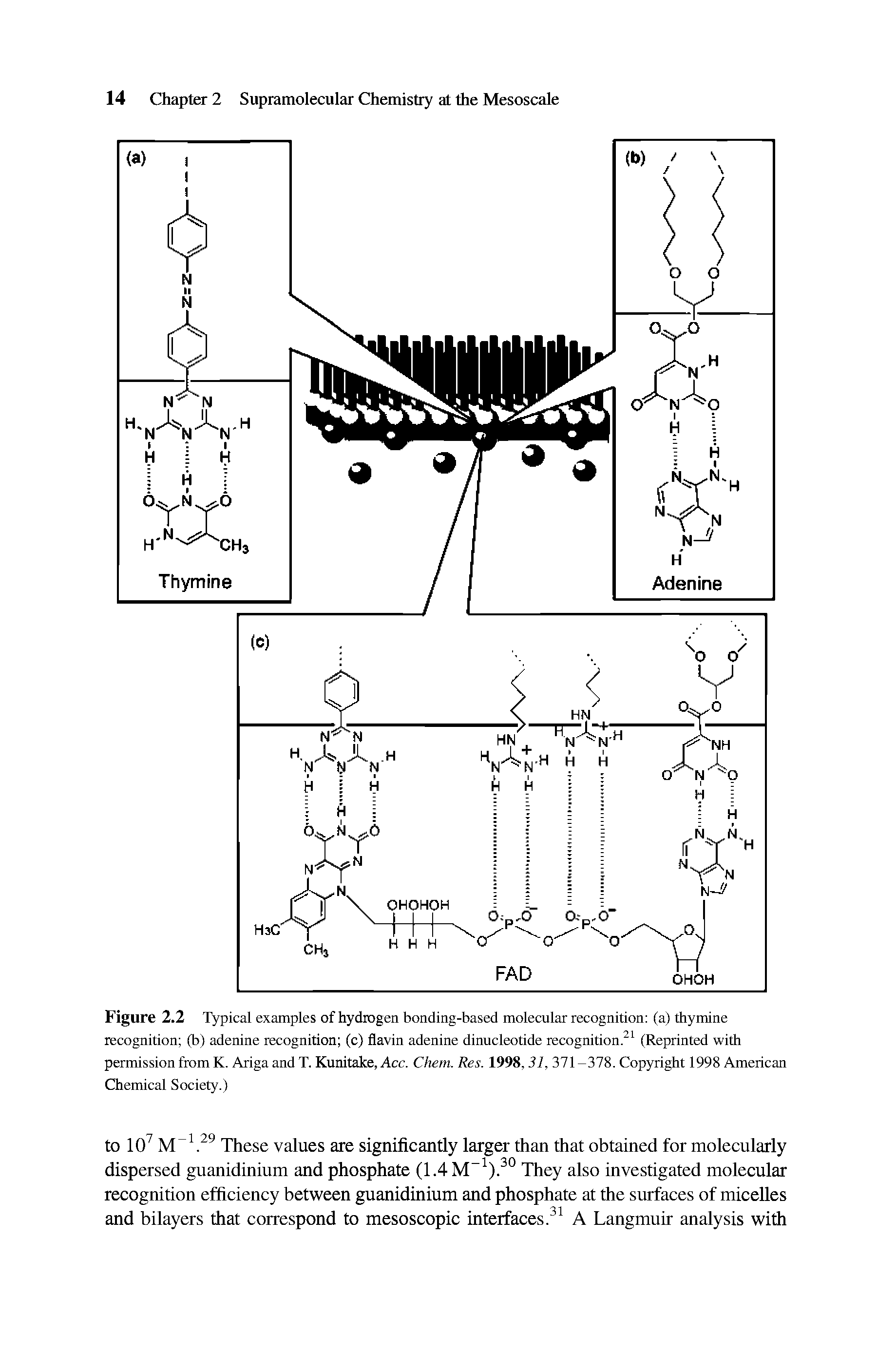 Figure 2.2 Typical examples of hydrogen bonding-based molecular recognition (a) thymine recognition (b) adenine recognition (c) flavin adenine dinucleotide recognition.21 (Reprinted with permission from K. Ariga and T. Kunitake, Acc. Chem. Res. 1998,31, 371-378. Copyright 1998 American Chemical Society.)...