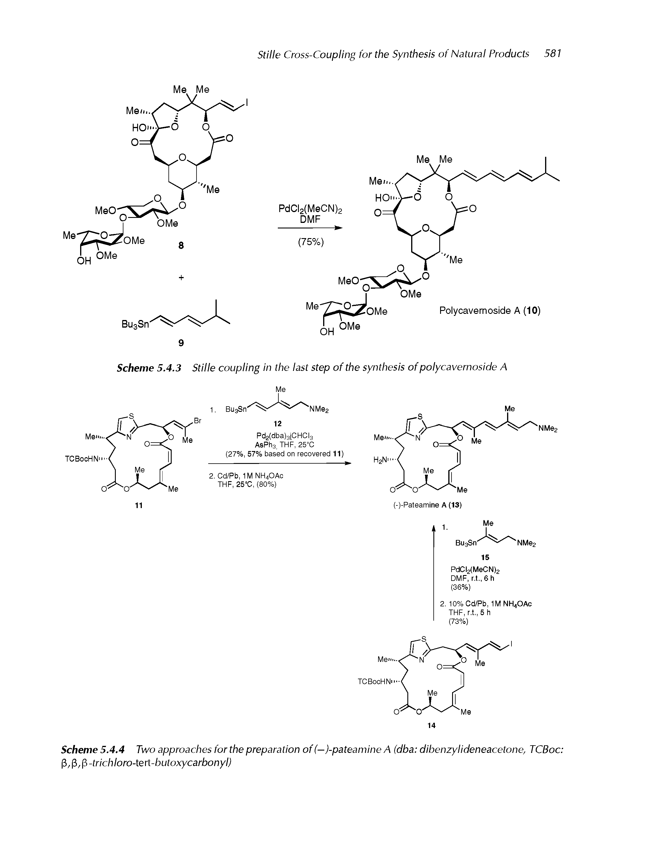 Scheme 5.4.4 Two approaches for the preparation of (-)-pateamine A (dba dibenzylideneacetone, TCBoc (3, (3, (3 -trichloro-tert-butoxycarbonyl)...